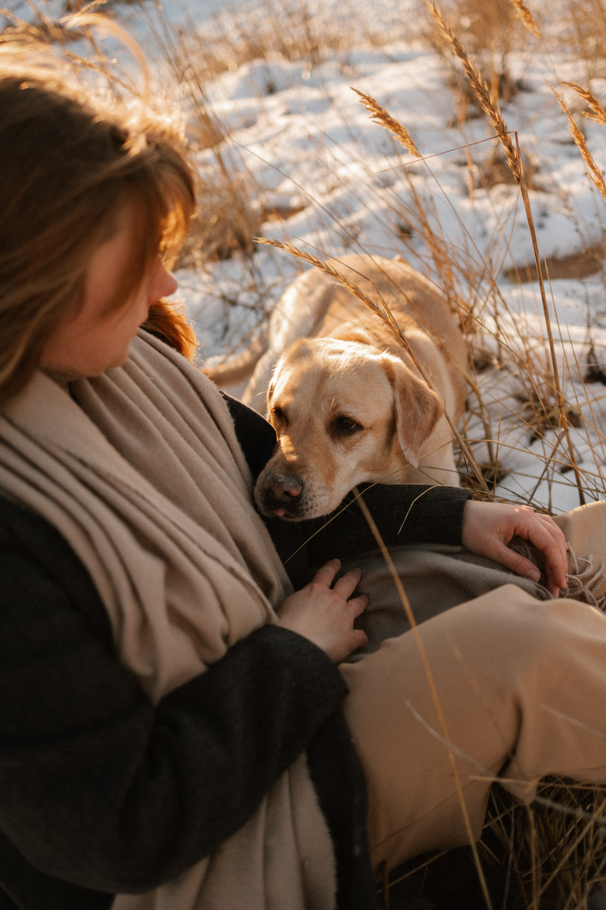 Ирина и Бася. Фотограф — Анималист | Санкт-Петербург