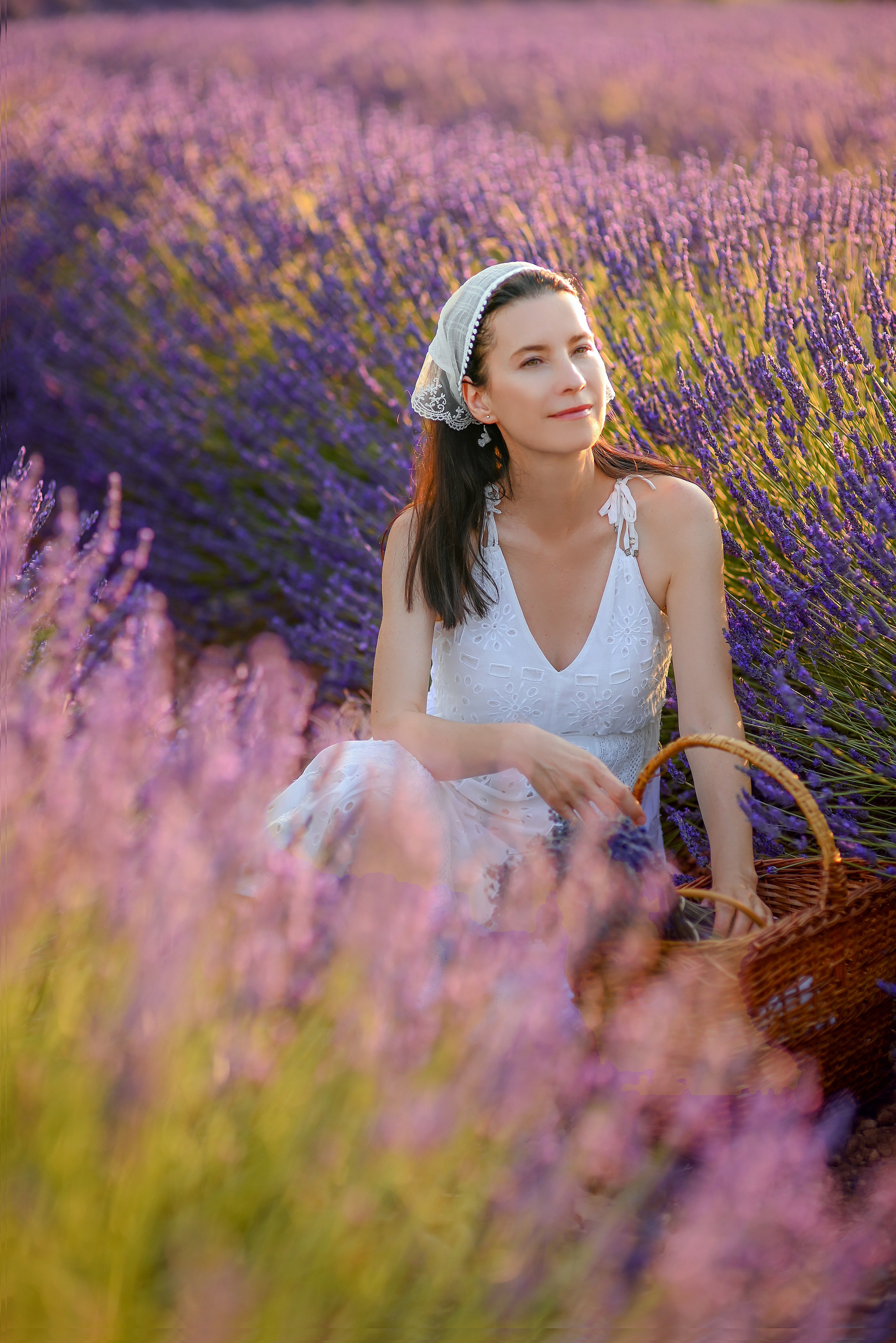 Lavender. Photographer in Provence Julia Lipiainen