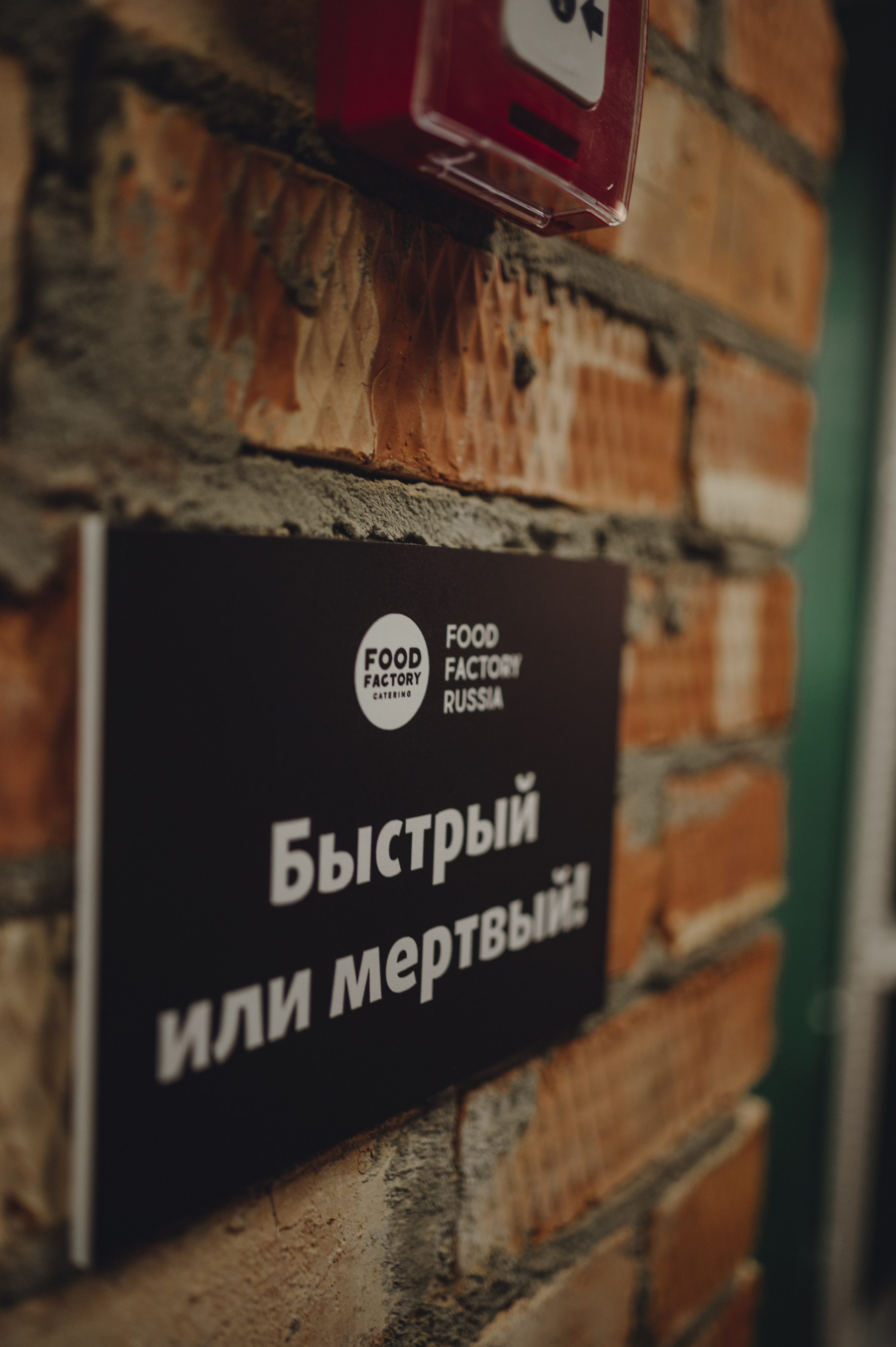 Взрослые. Семейный Фотограф Новосибирск, Школьные фотосессии Новосибирск, школьный фотограф Новосибирск, выпускные альбомы