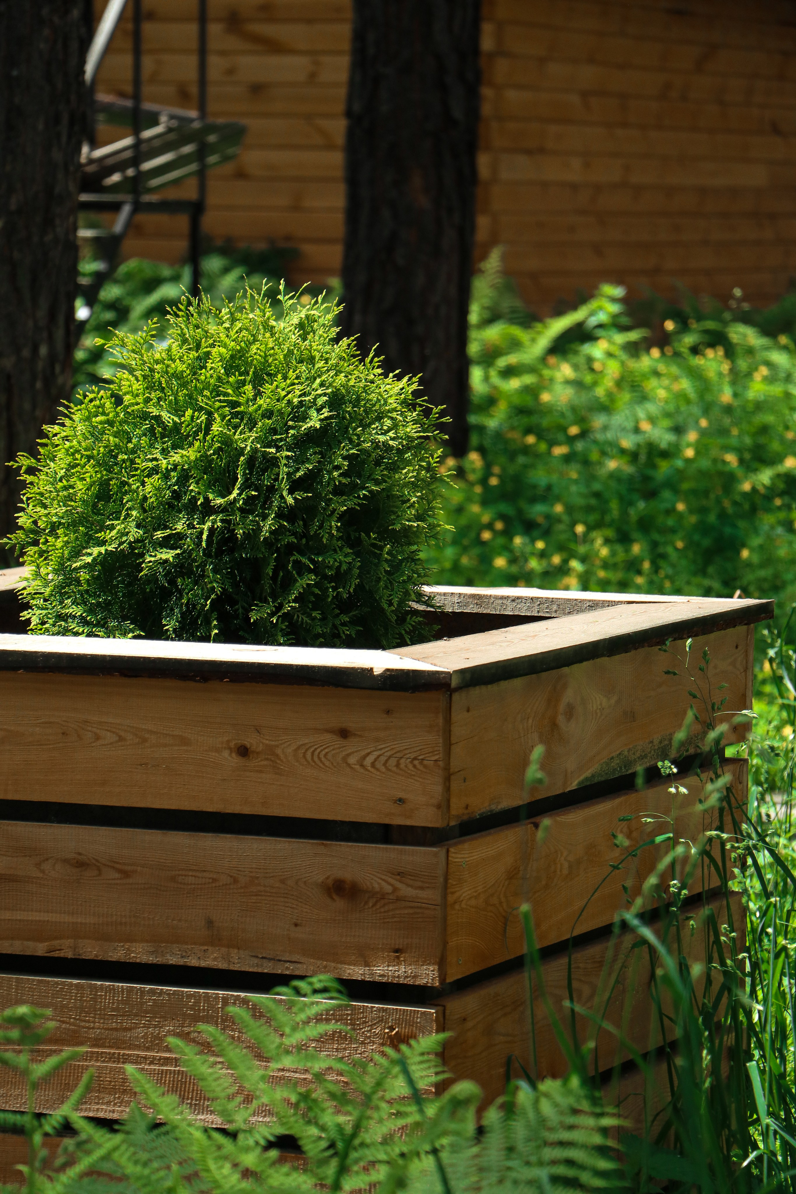 «Royal Forest» купольная база, респ. Алтай. Контент фотограф Дмитрий Борисов