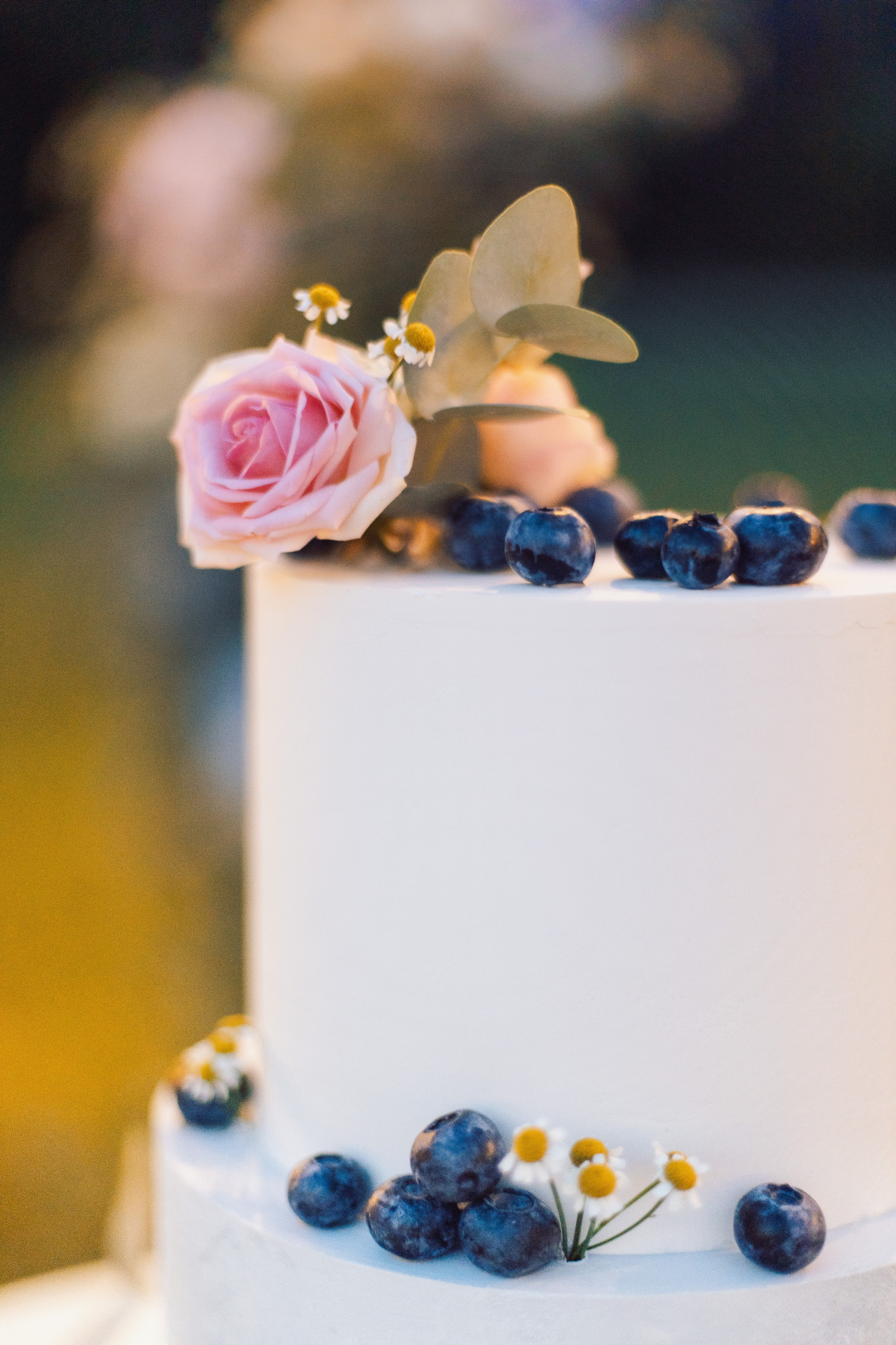 Про свадьбу Саши и Ани. Семейный и детский фотограф в Туле