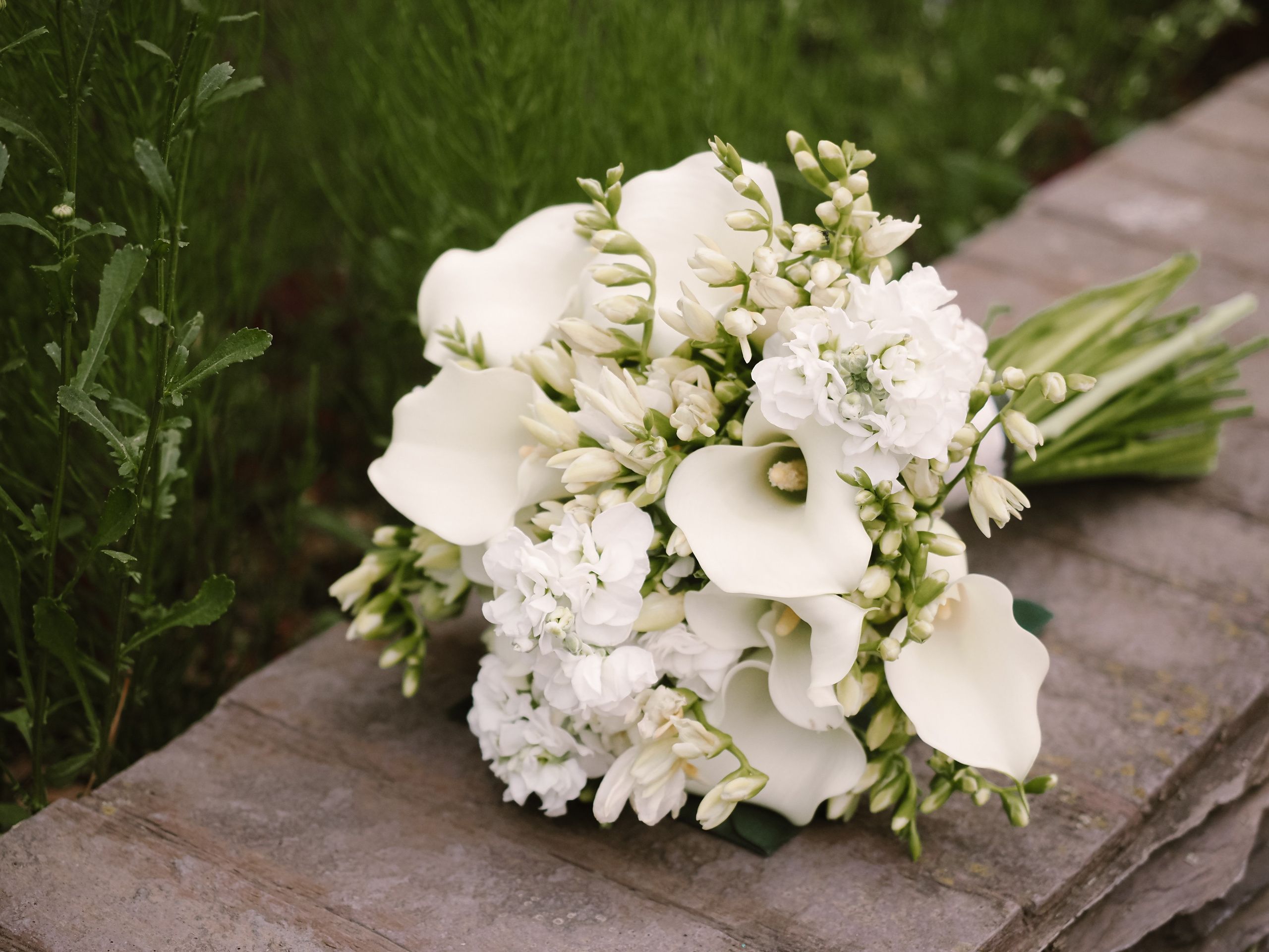 Михаил и Анастасия. Фотограф Рязань. Семейный Свадебный фотограф