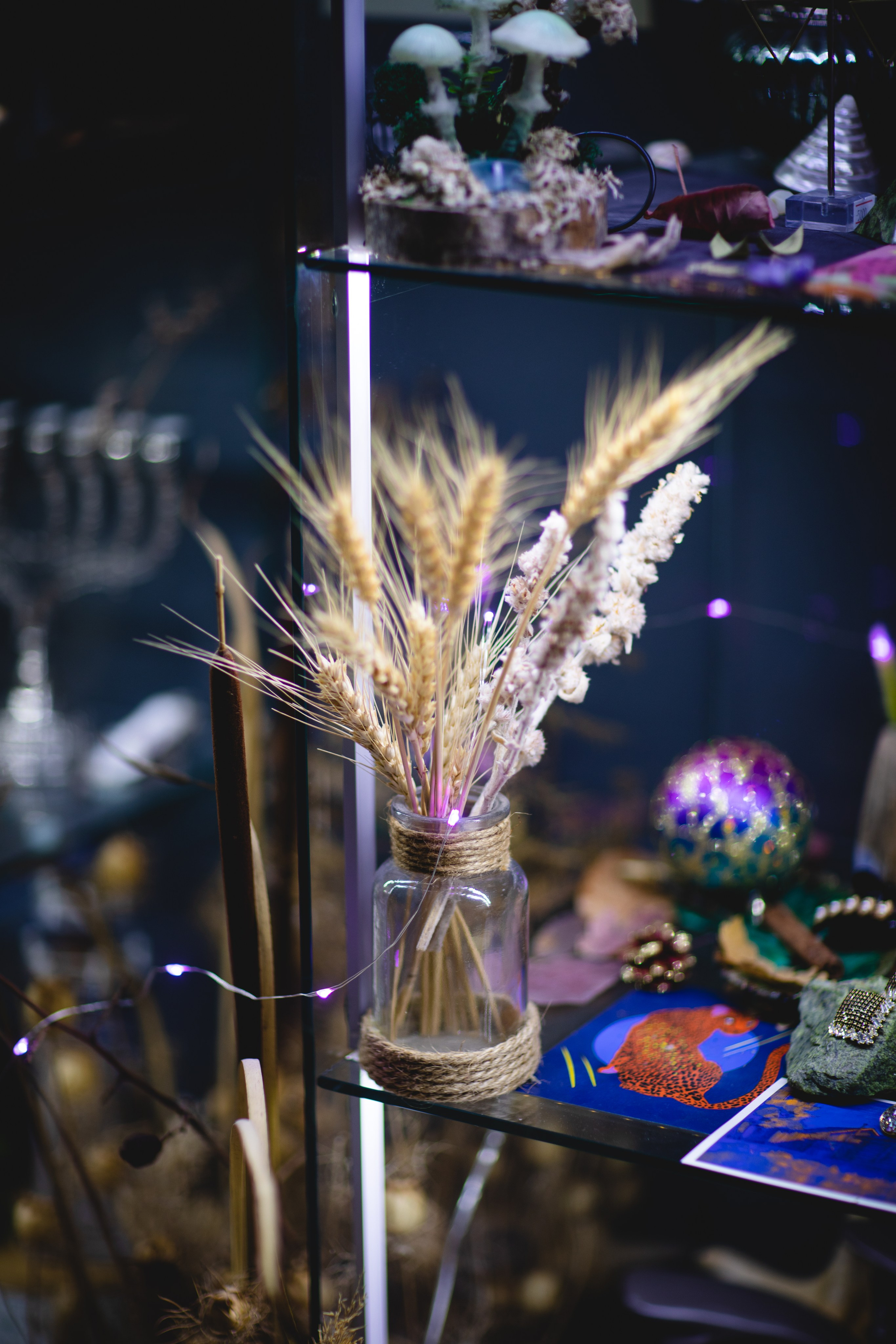 МАРТ-лавка красивых вещей). Семейный фотограф в Москве Анастасия Гурьянова