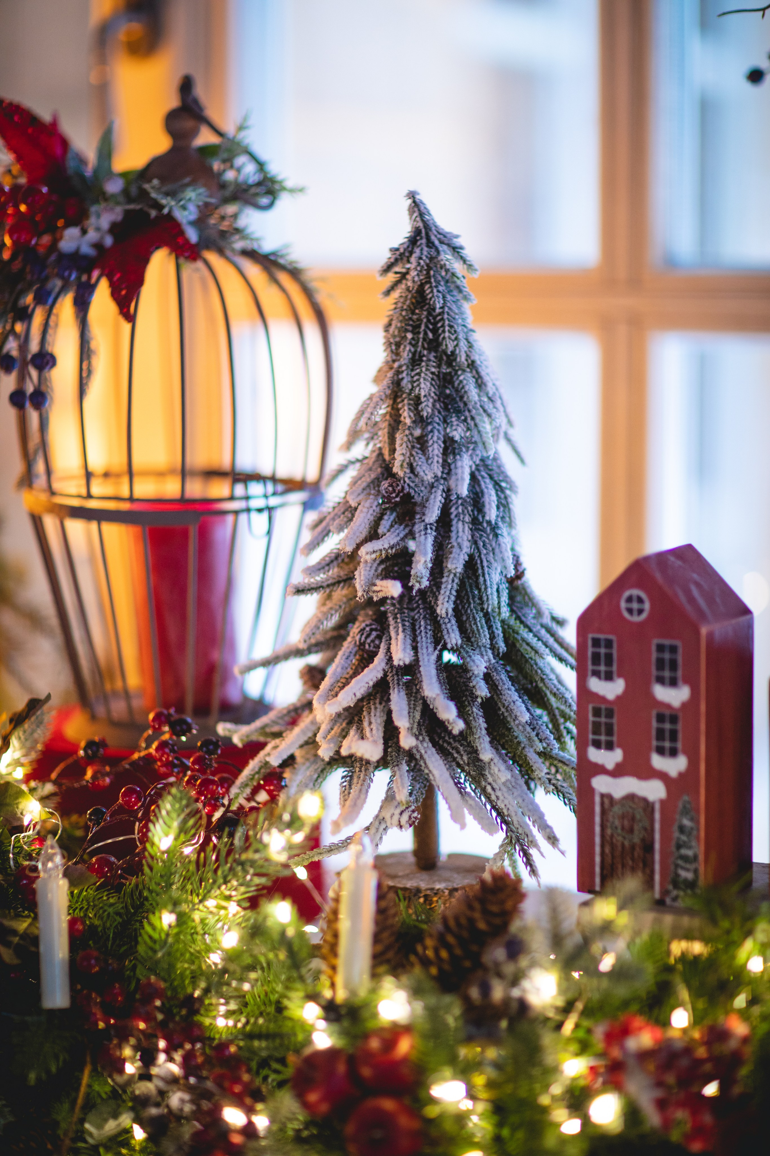 Домик в лесу. Семейный фотограф в Москве Анастасия Гурьянова