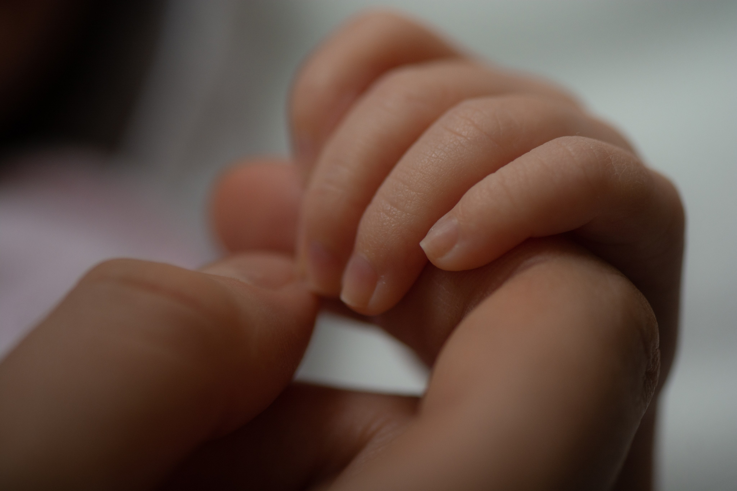 2023-09-21-Елизавета. Фотосессия беременности — Крылова Натали — Москва