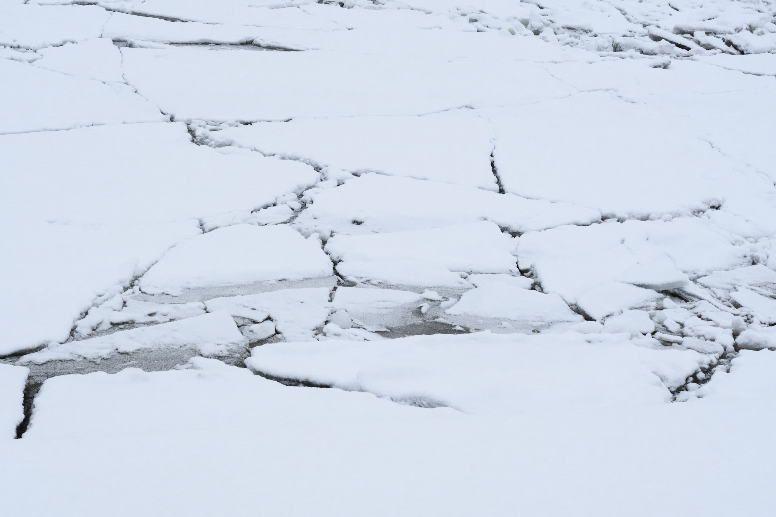 Стрит-фотография в Санкт-Петербурге — фотосессия | Филипп Линзин. Репортажный и портретный фотограф в Санкт-Петербурге Филипп Линзин