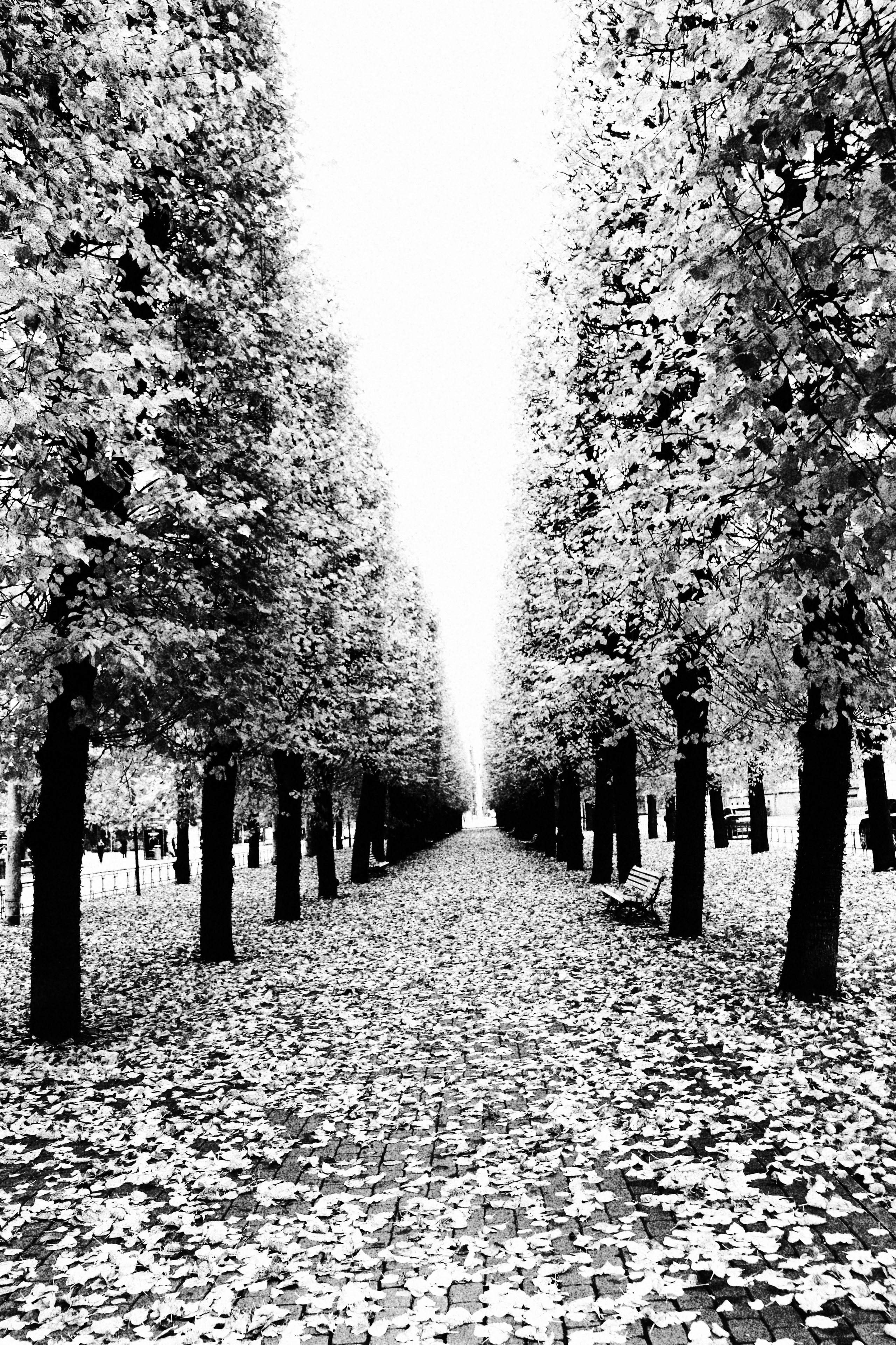 Riga. Juliarubis.com