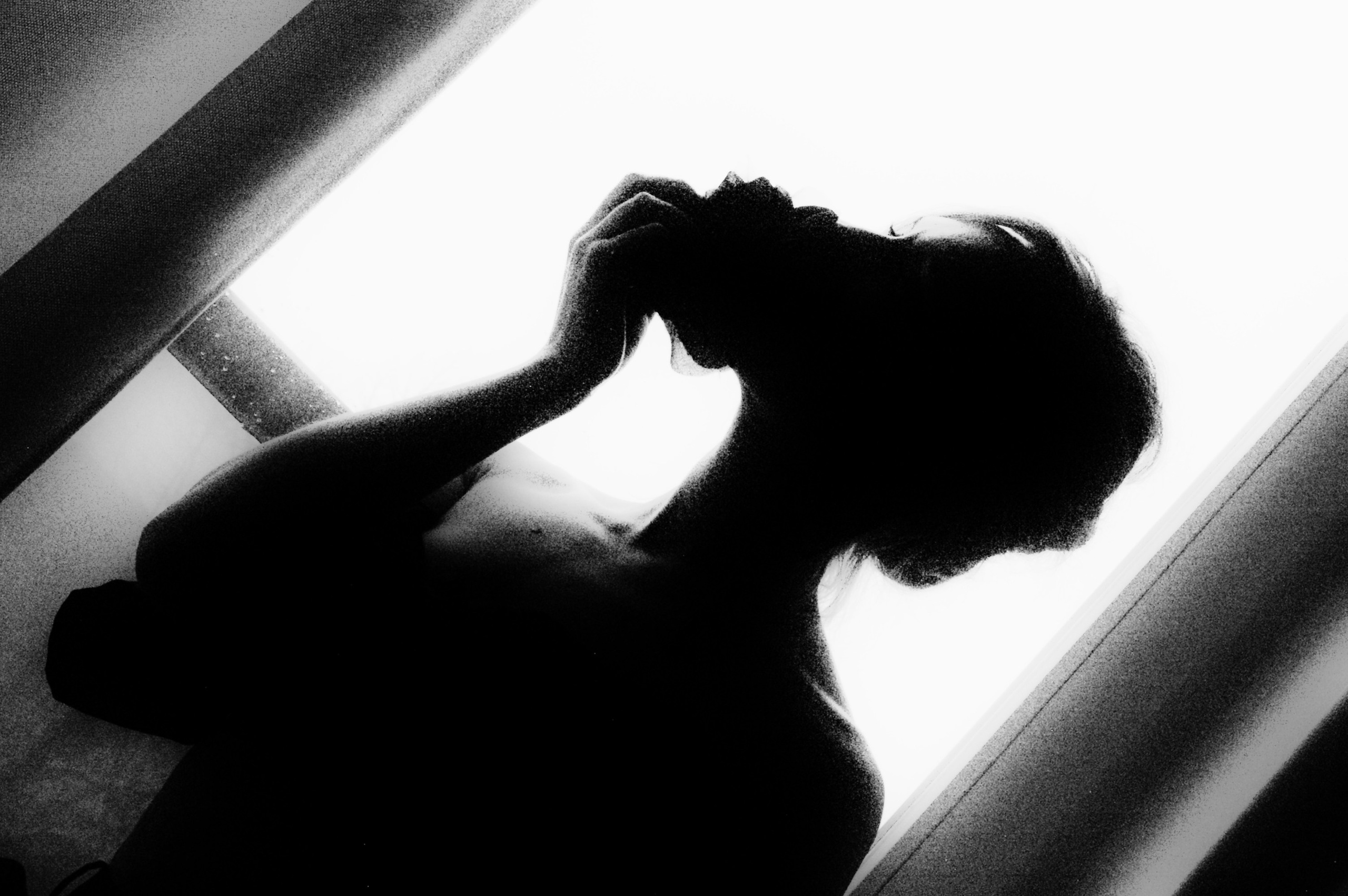 The Rose. Juliarubis.com