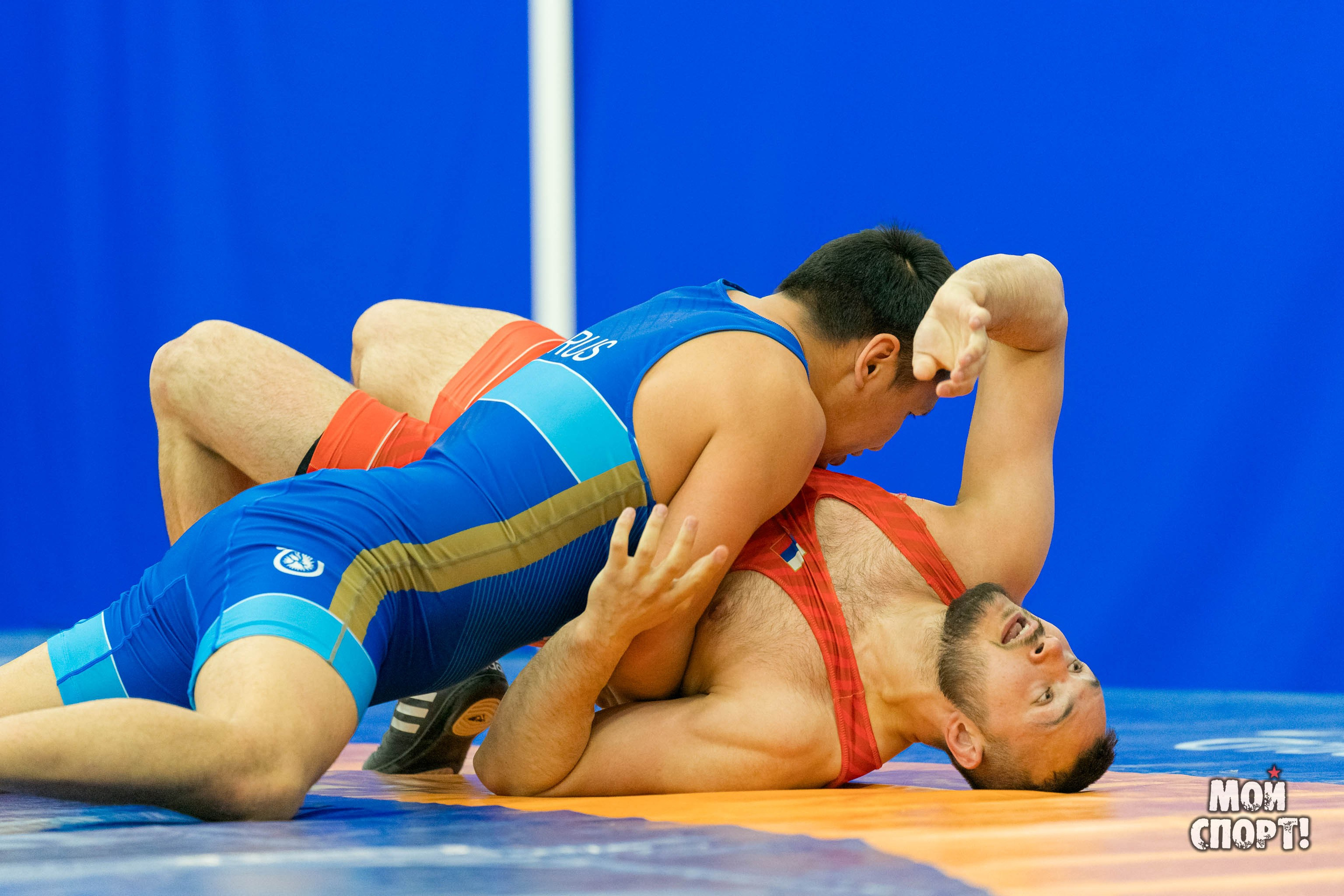 Чемпионат России среди студентов по спортивной борьбе 2024. ГРБ. Студия «Мой Спорт!» — все о спорте в Якутии