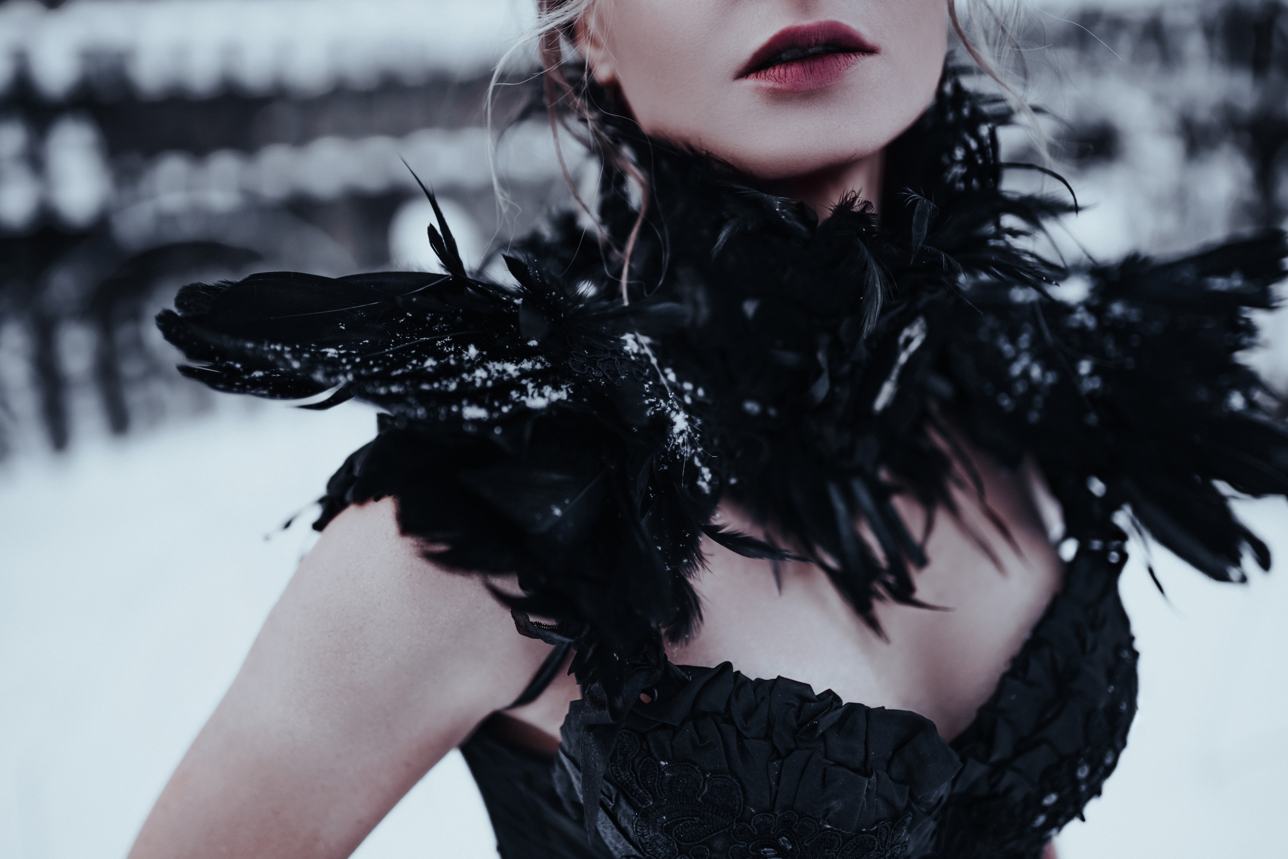 Портфолио | Фотограф Евтифеева Полина | Санкт-Петербург