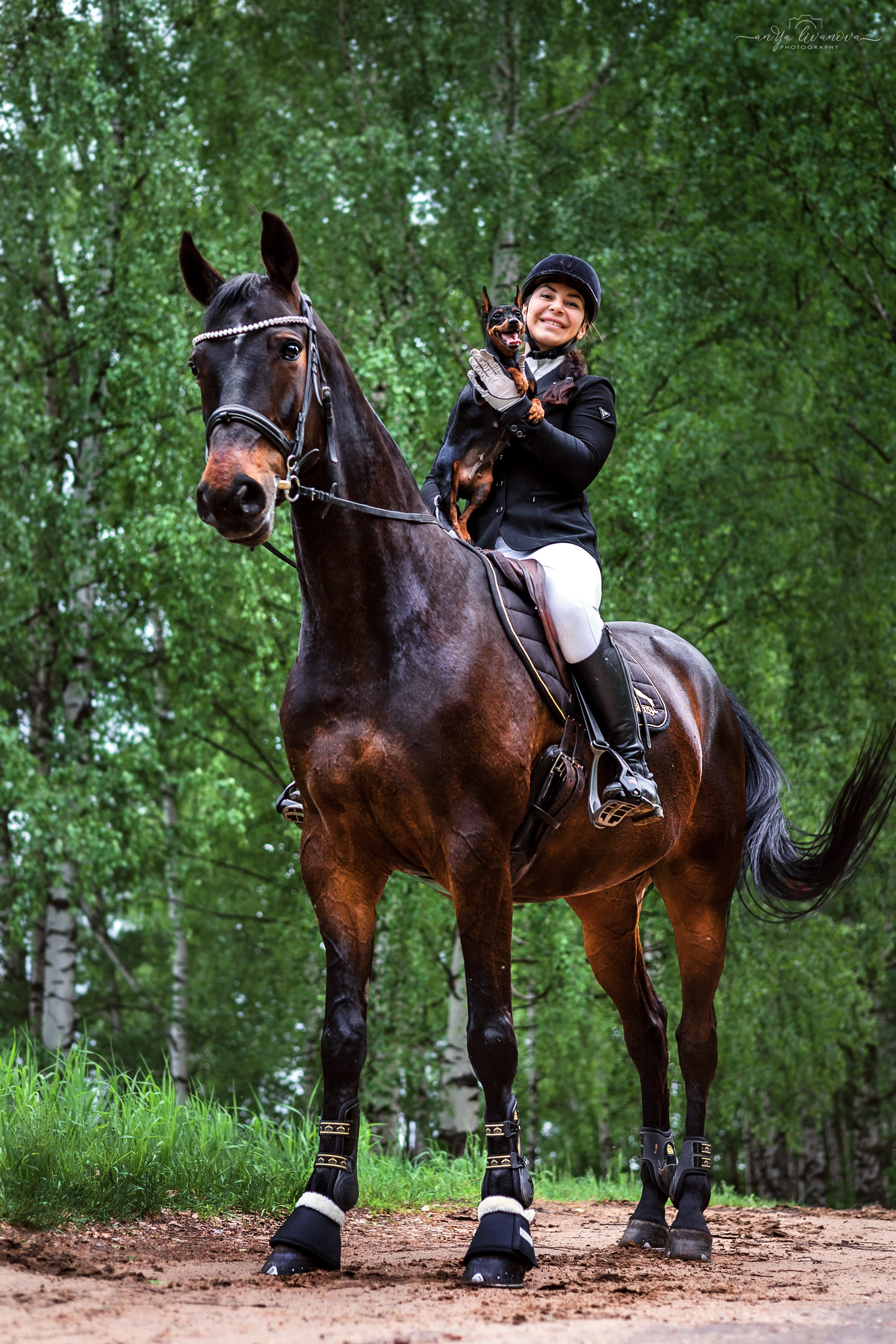 Конное…. Фотограф анималист Аня Ливанова | Рыбинск