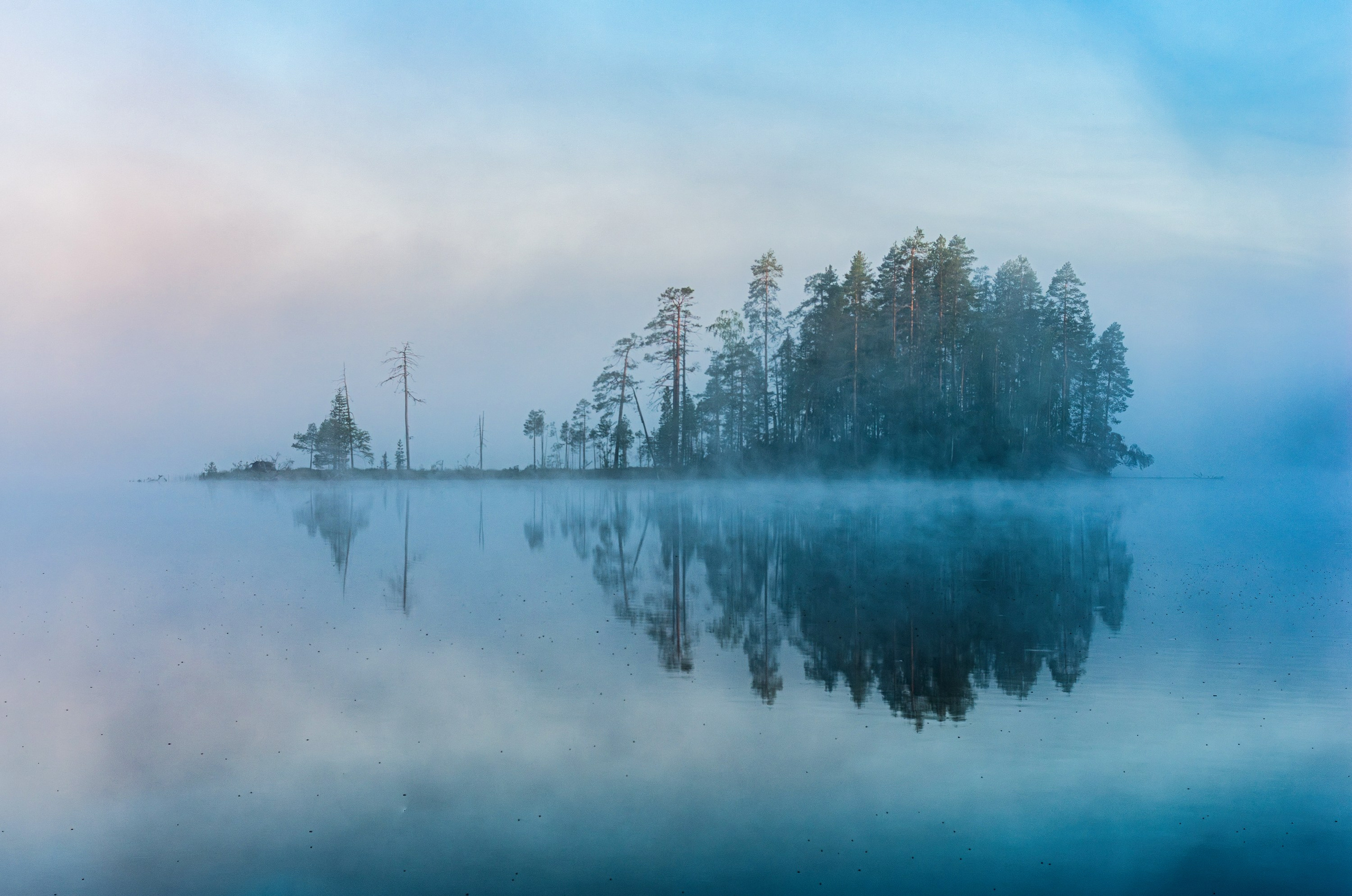 Фотограф Даниил Богомолов