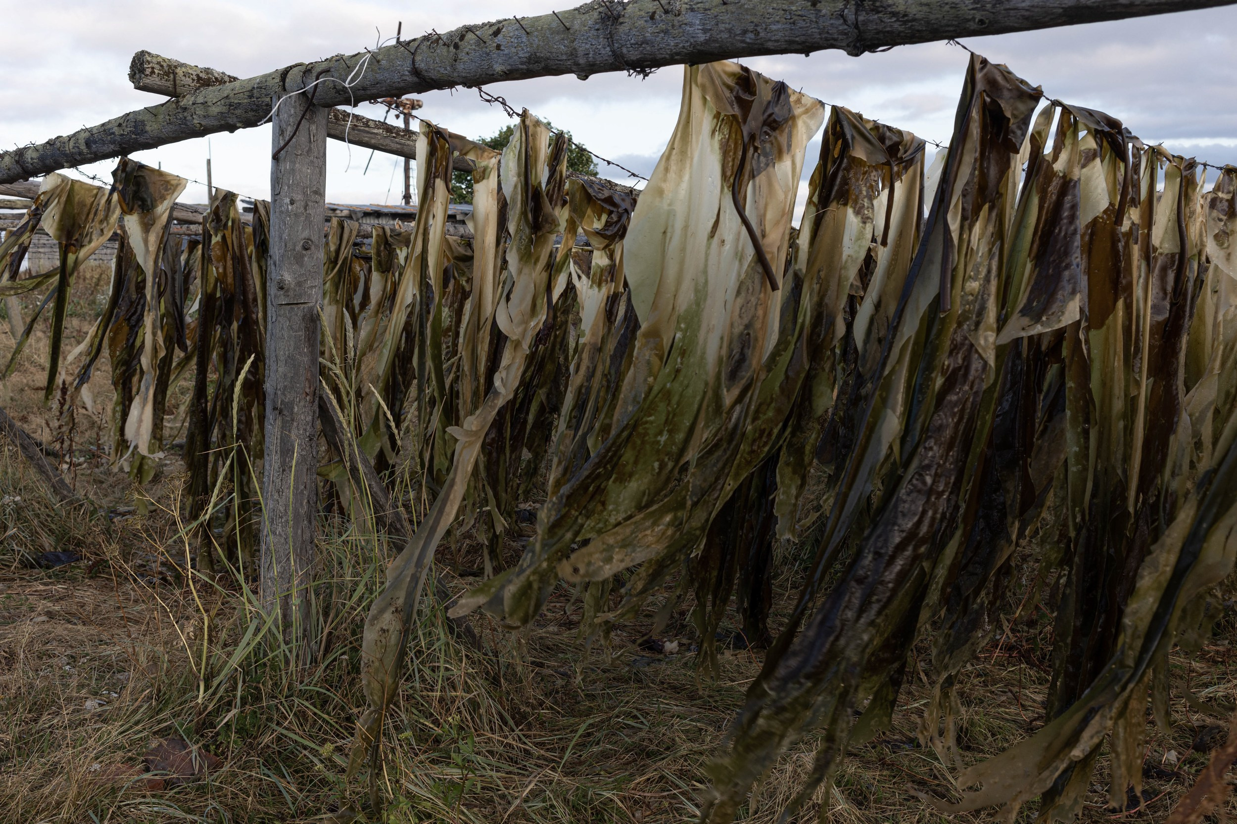 Остров на краю света. Yulia Nevskaya, documentary photographer and photojournalist