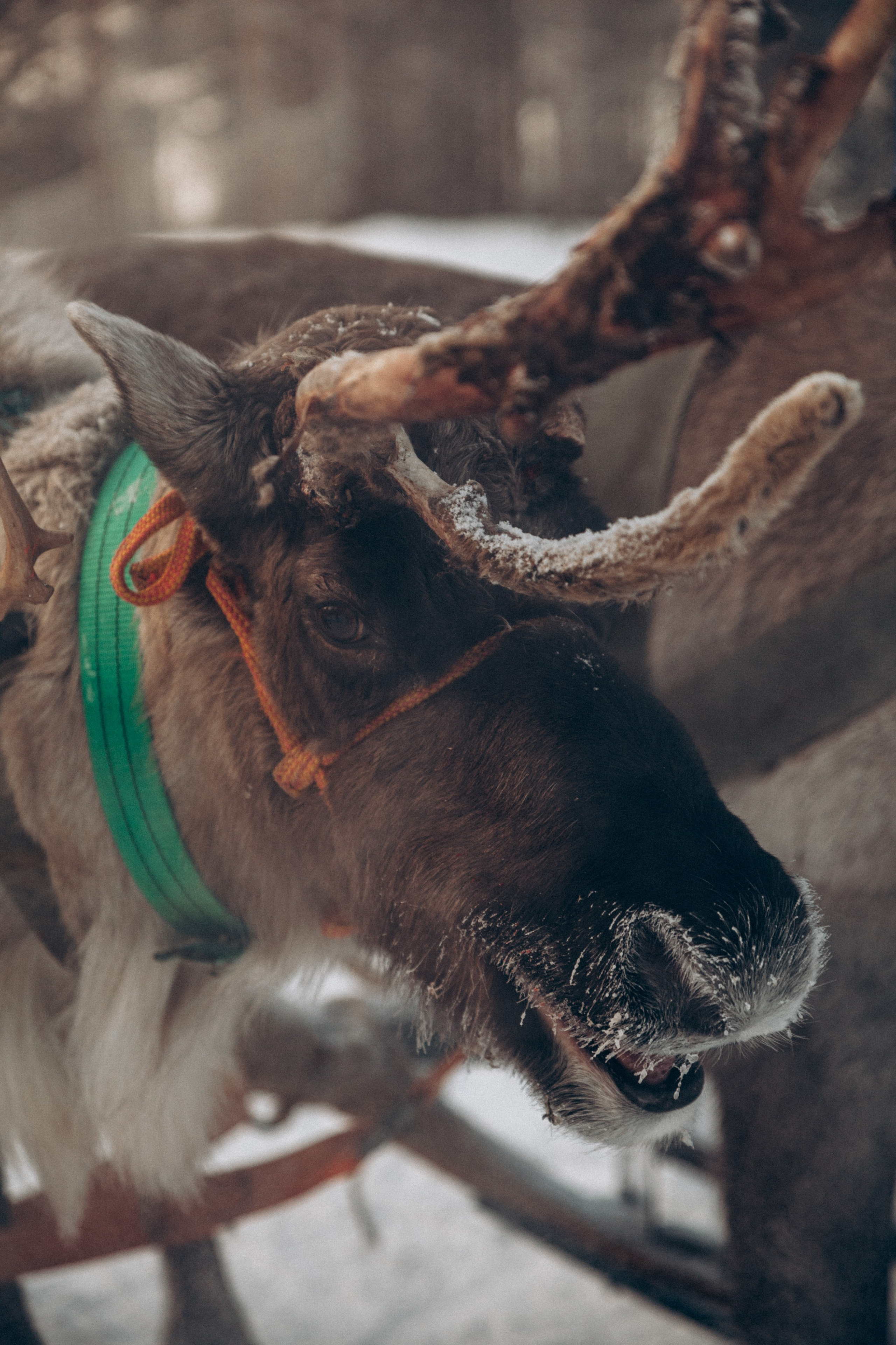 Териберка 2025. Репортажный и детский фотограф в Минске