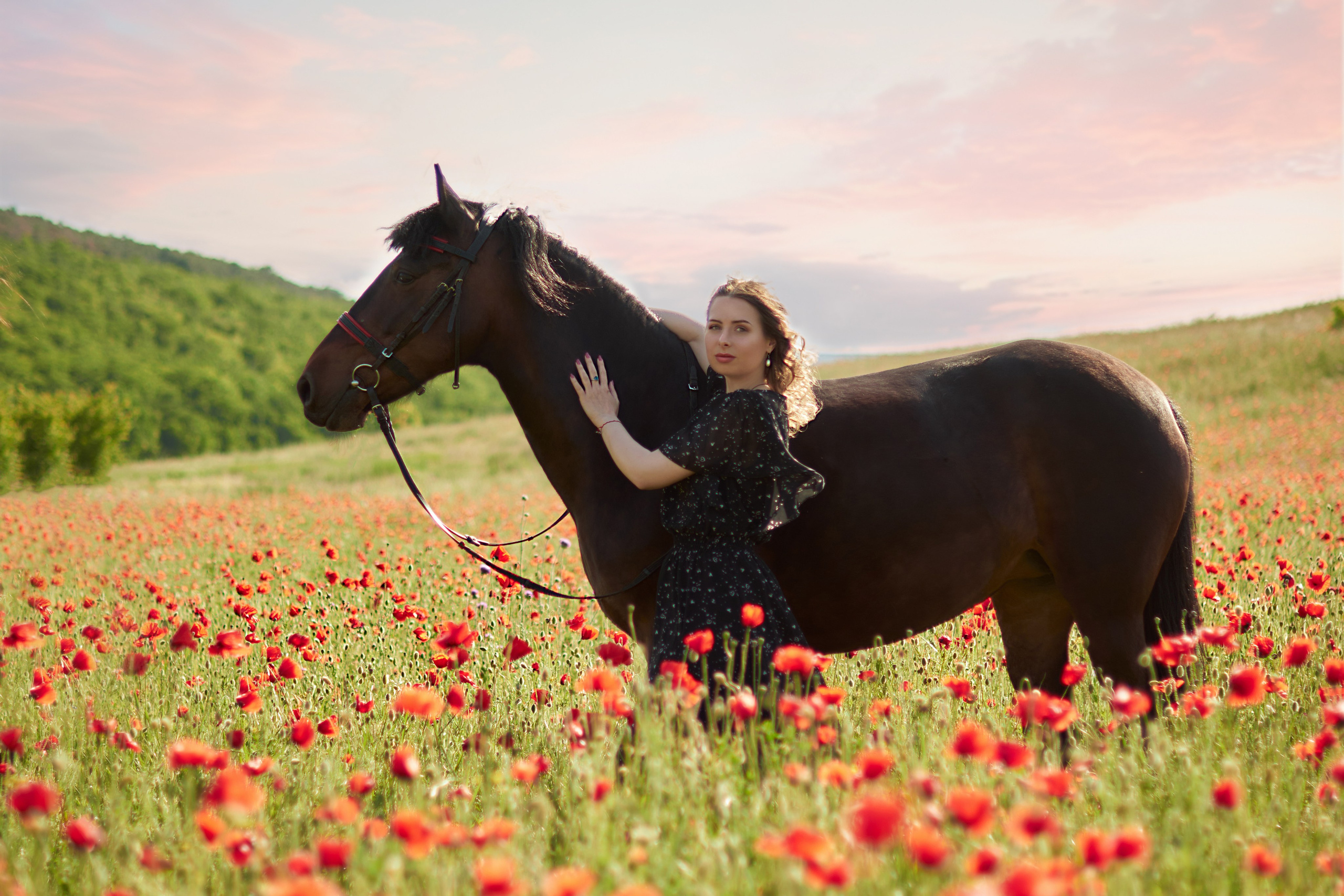 Фотосессия с лошадью Севастополь. Фотограф в Севастополе