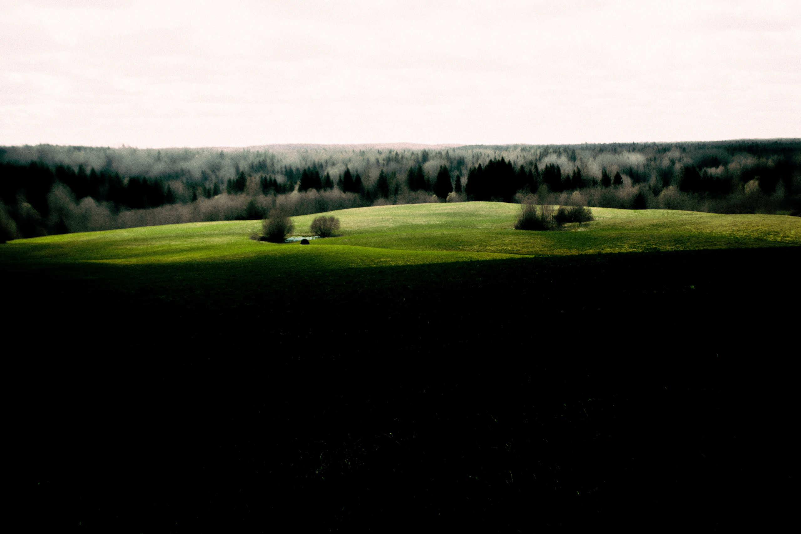 Вепсский ковчег. Полина Щапова БМК235 Медиаком — НИУ ВШЭ