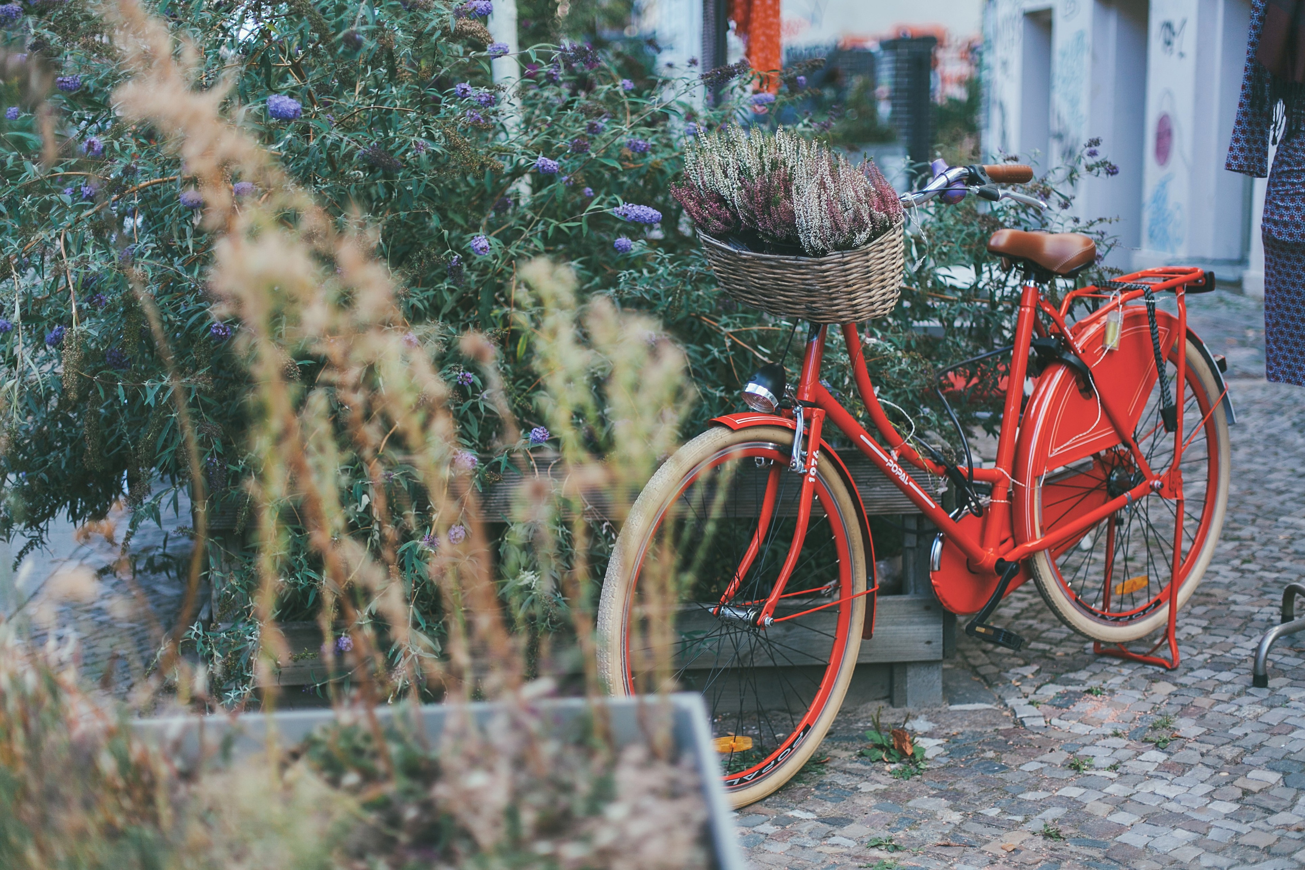 Берлин. Аня Степанова