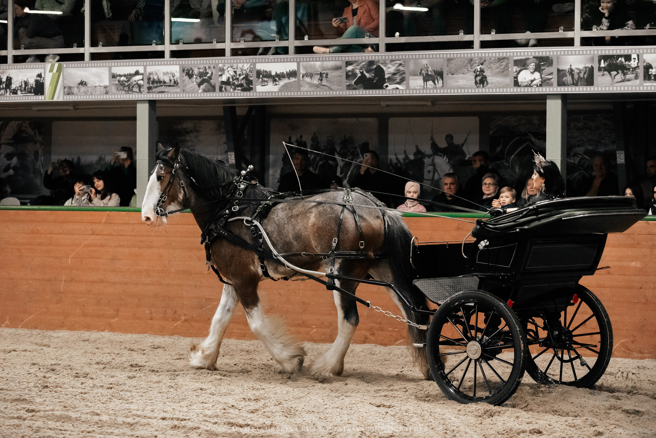 Конное представление «Дыхание Звёзд». Конный фотограф Куракина Дарья • Фотосессии с лошадьми