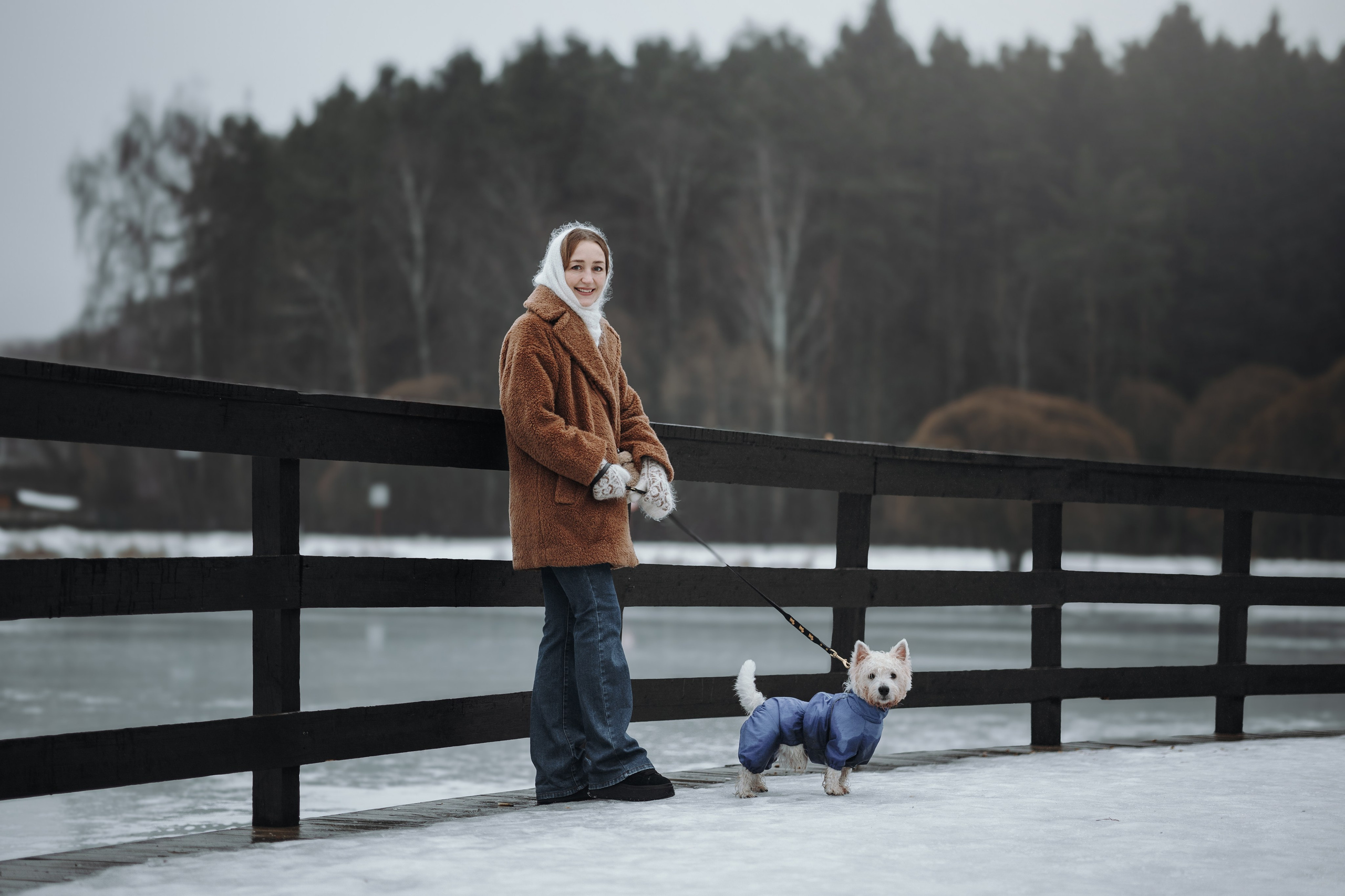 Шелби, Ватсон и ребята. Фотограф — Анималист | Санкт-Петербург