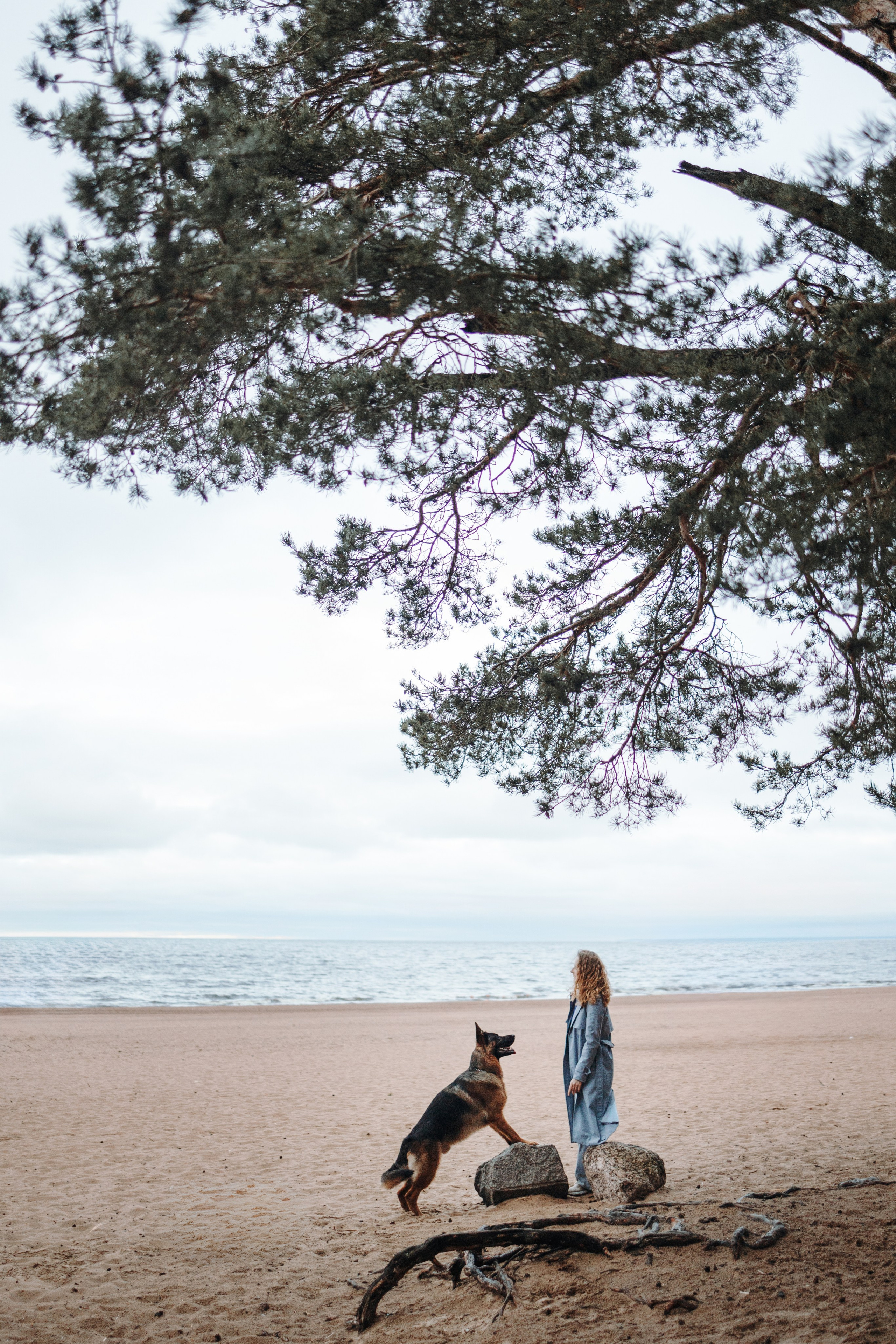Катя и Агат. Фотограф — Анималист | Санкт-Петербург