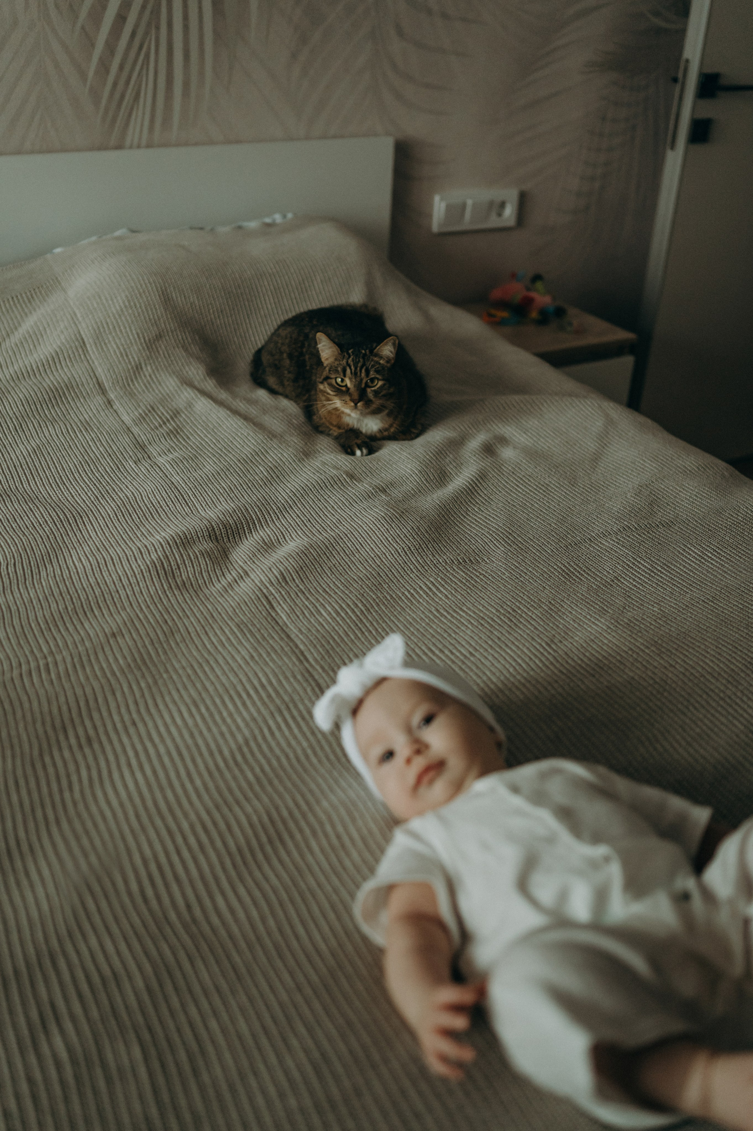Агата, Катя, Руслан. Свадебный фотограф, фотограф беременности Дарья Доценко