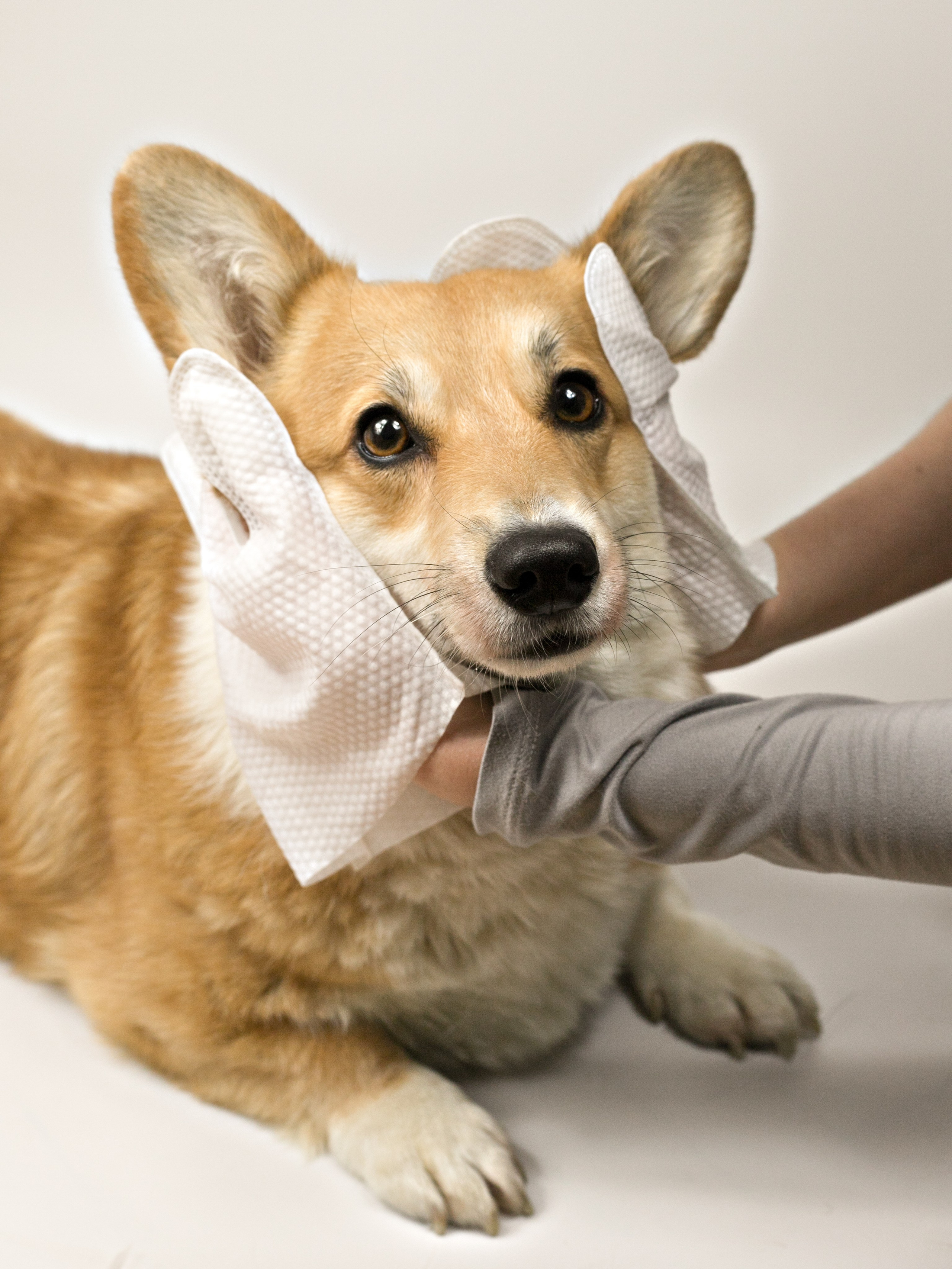 Фотосессия. Профессиональный фотограф в Москве