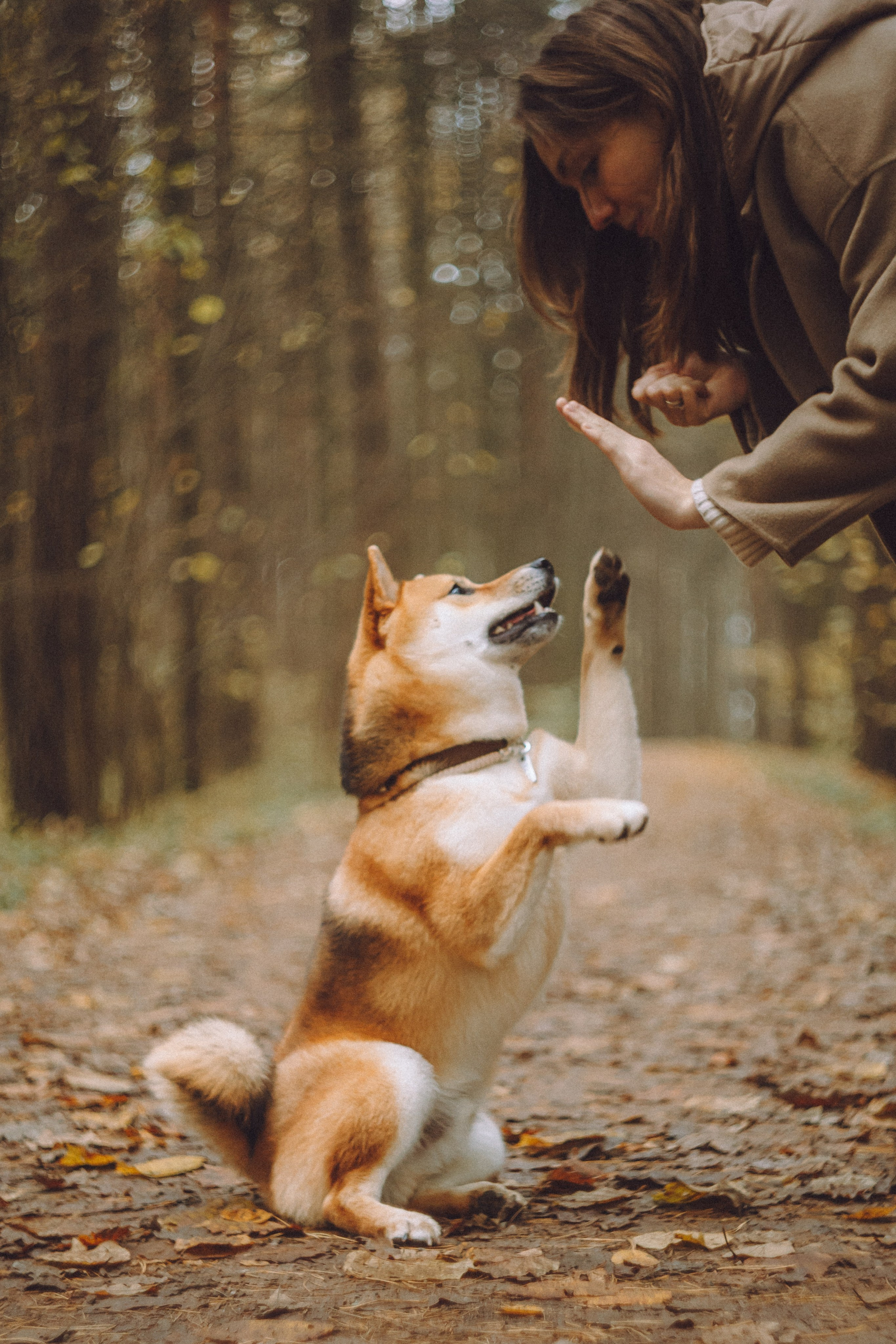 Настя, Юра и Скай