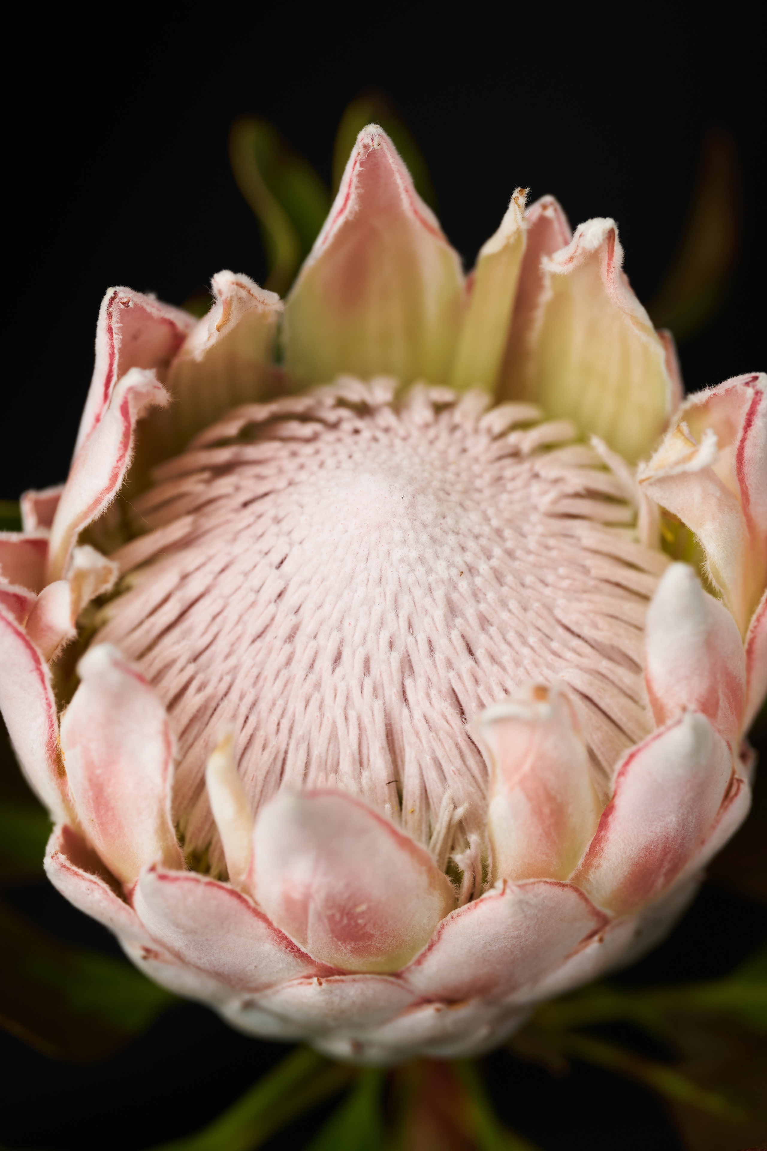 Цветочный магазин. Фотограф для брендов одежды и маркетплейсов в Москве Рита Винтер