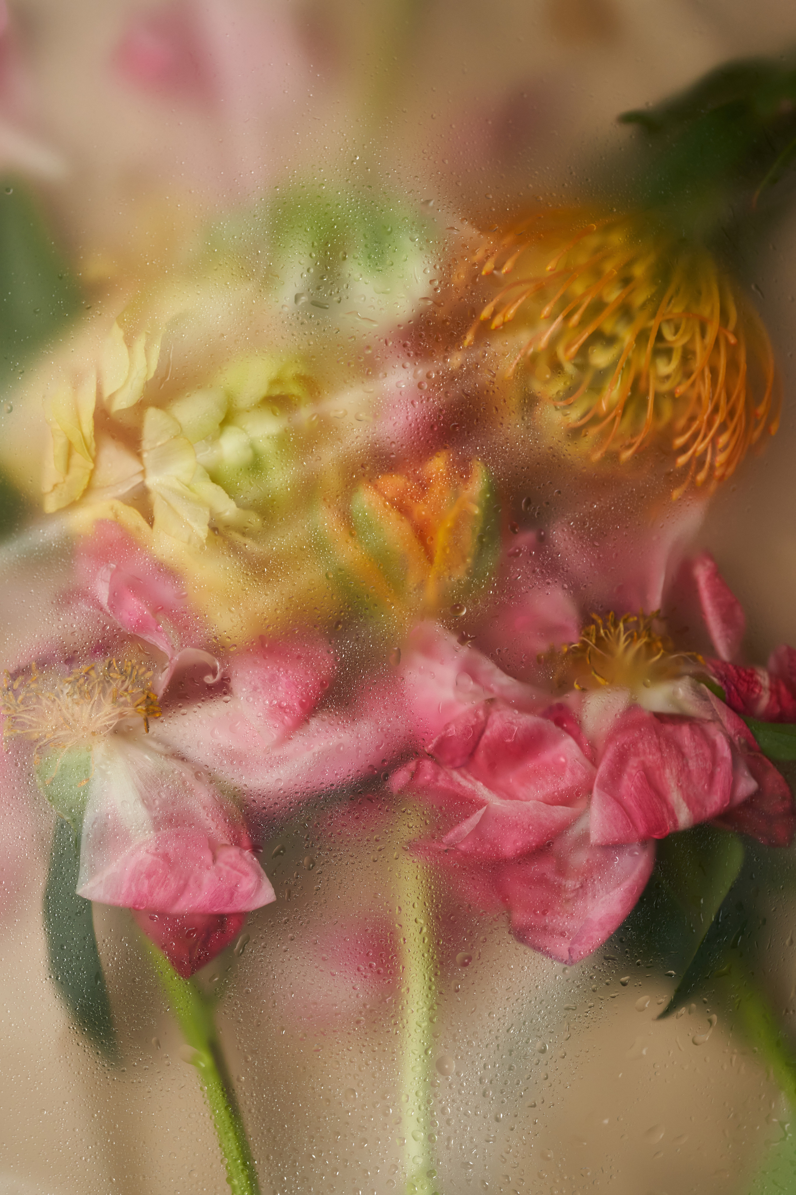 Цветочный магазин. Фотограф для брендов одежды и маркетплейсов в Москве Рита Винтер