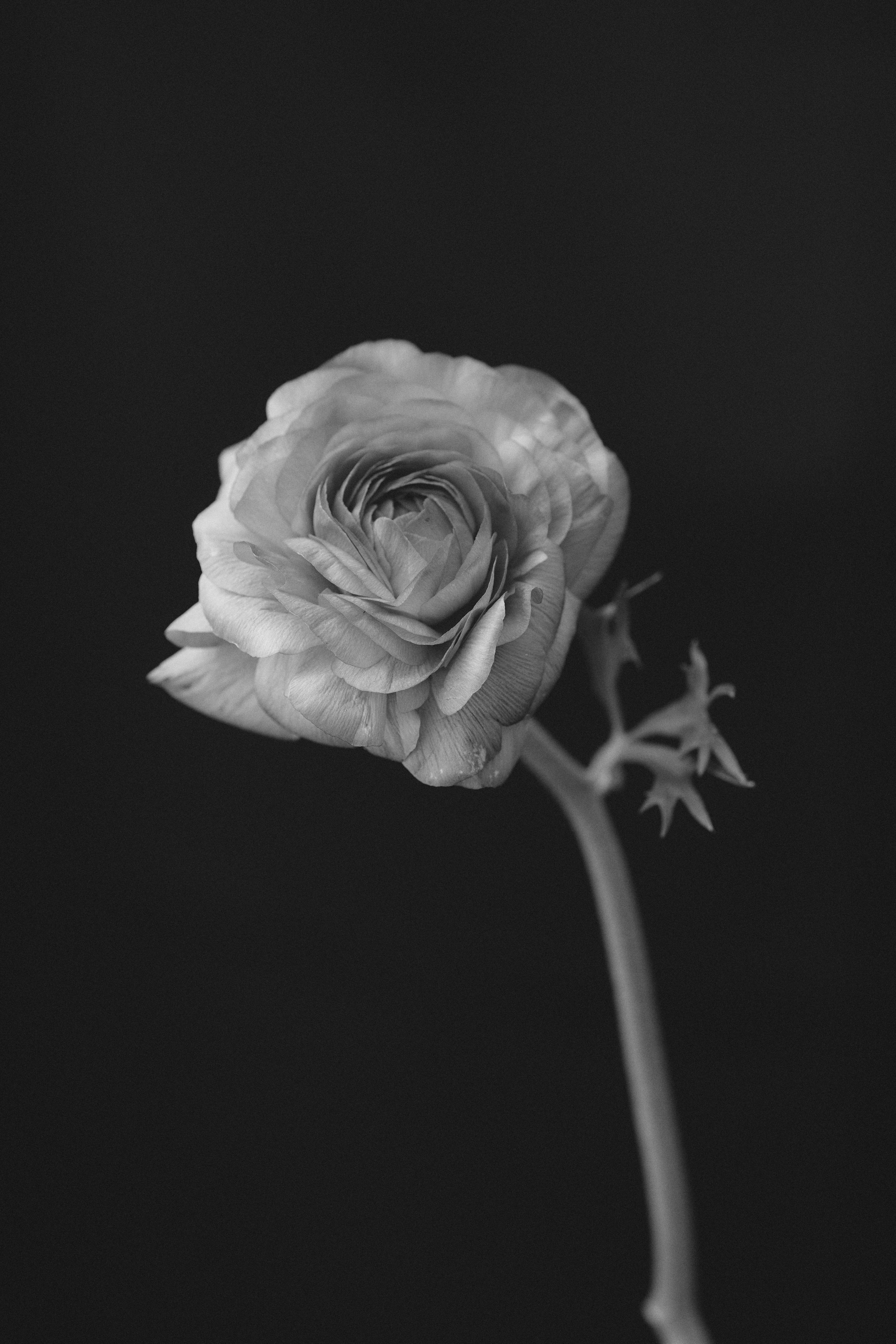 Цветочный магазин. Фотограф для брендов одежды и маркетплейсов в Москве Рита Винтер