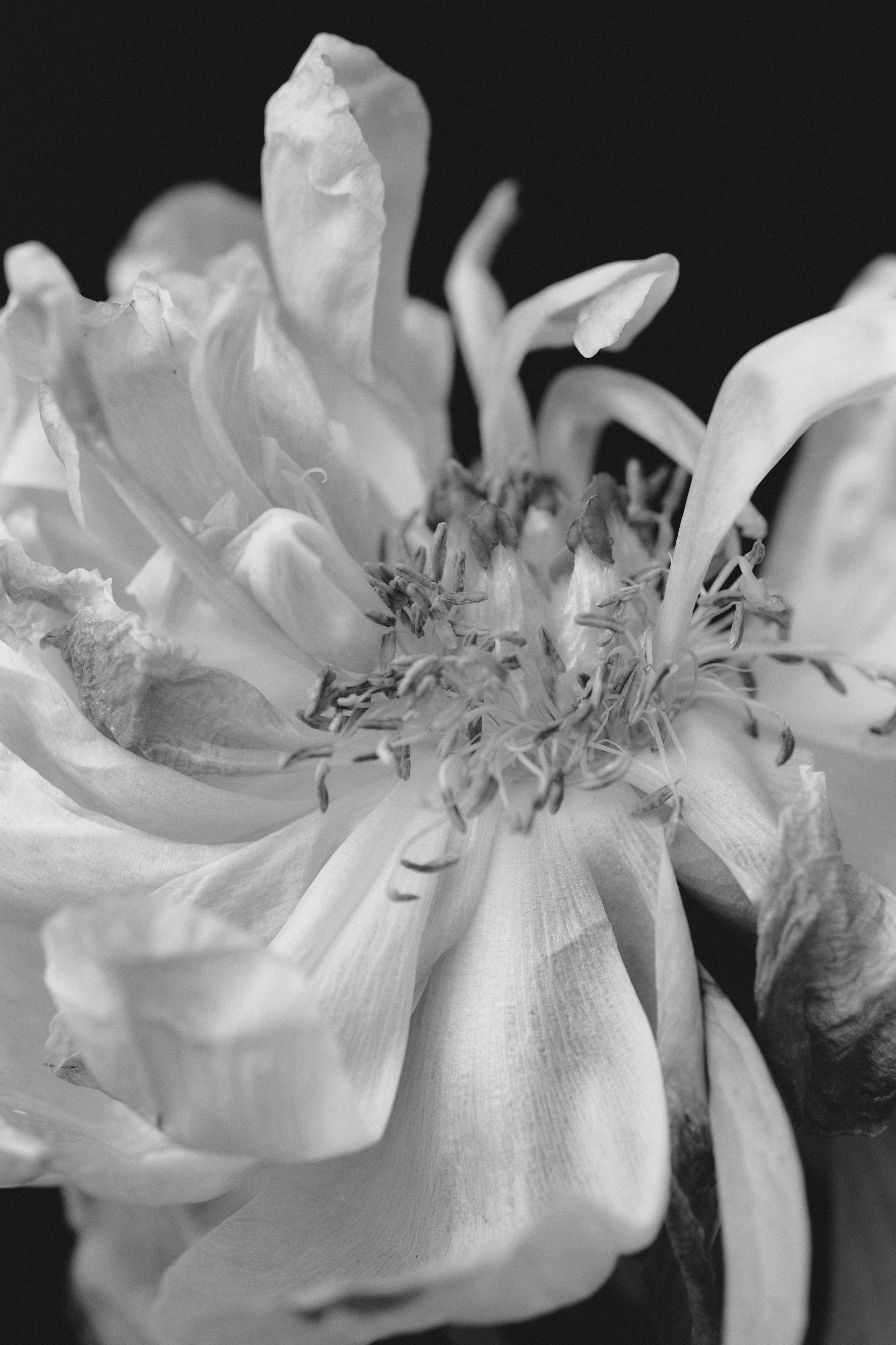 Цветочный магазин. Фотограф для брендов одежды и маркетплейсов в Москве Рита Винтер