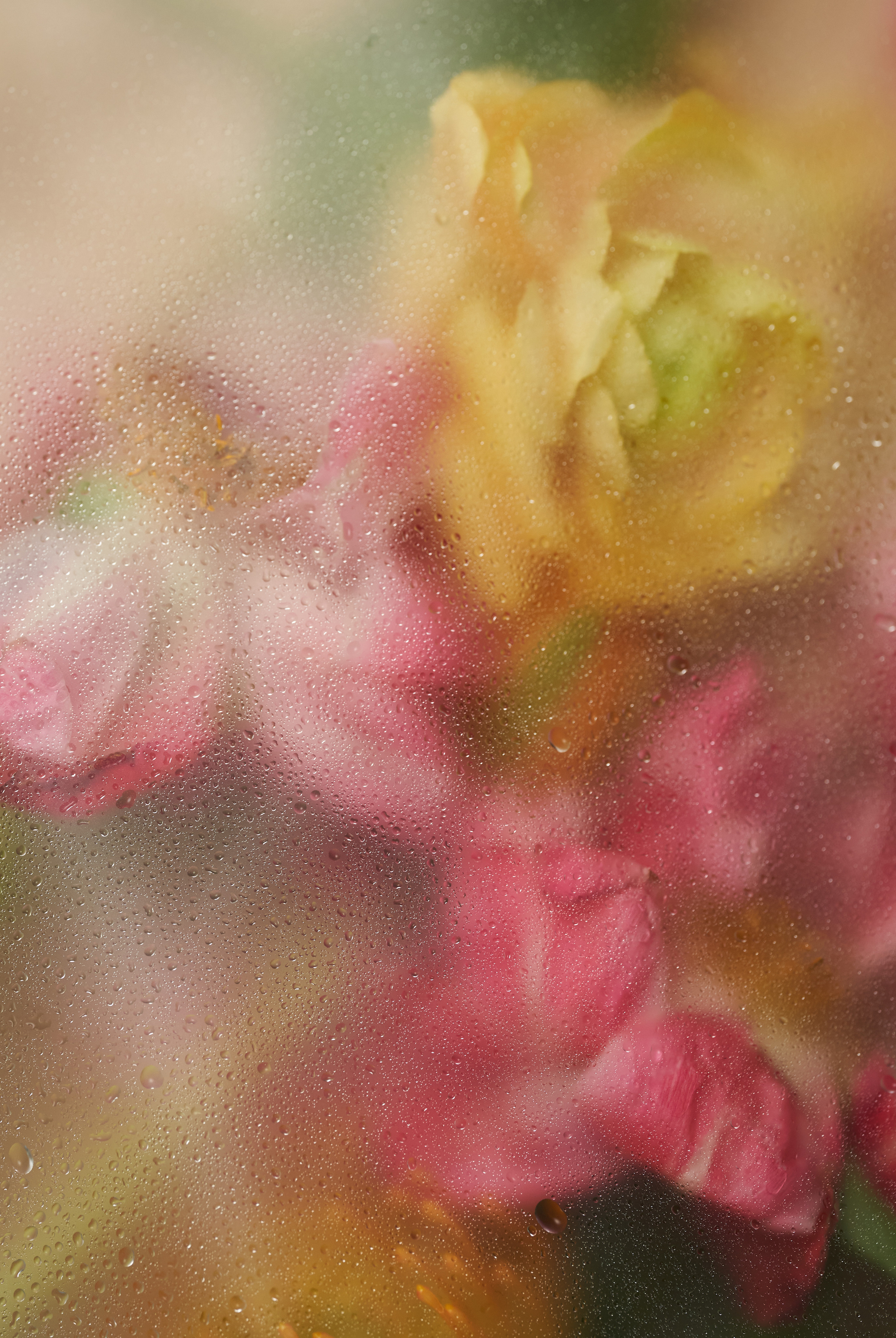 Цветочный магазин. Фотограф для брендов одежды и маркетплейсов в Москве Рита Винтер