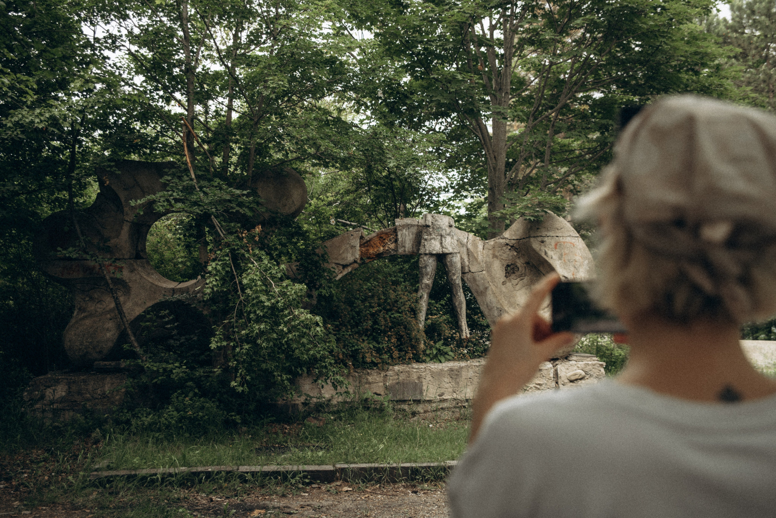 Медвежий приют, Мамкода, Грузия 🇬🇪 «Honey Trip». Anita_photo