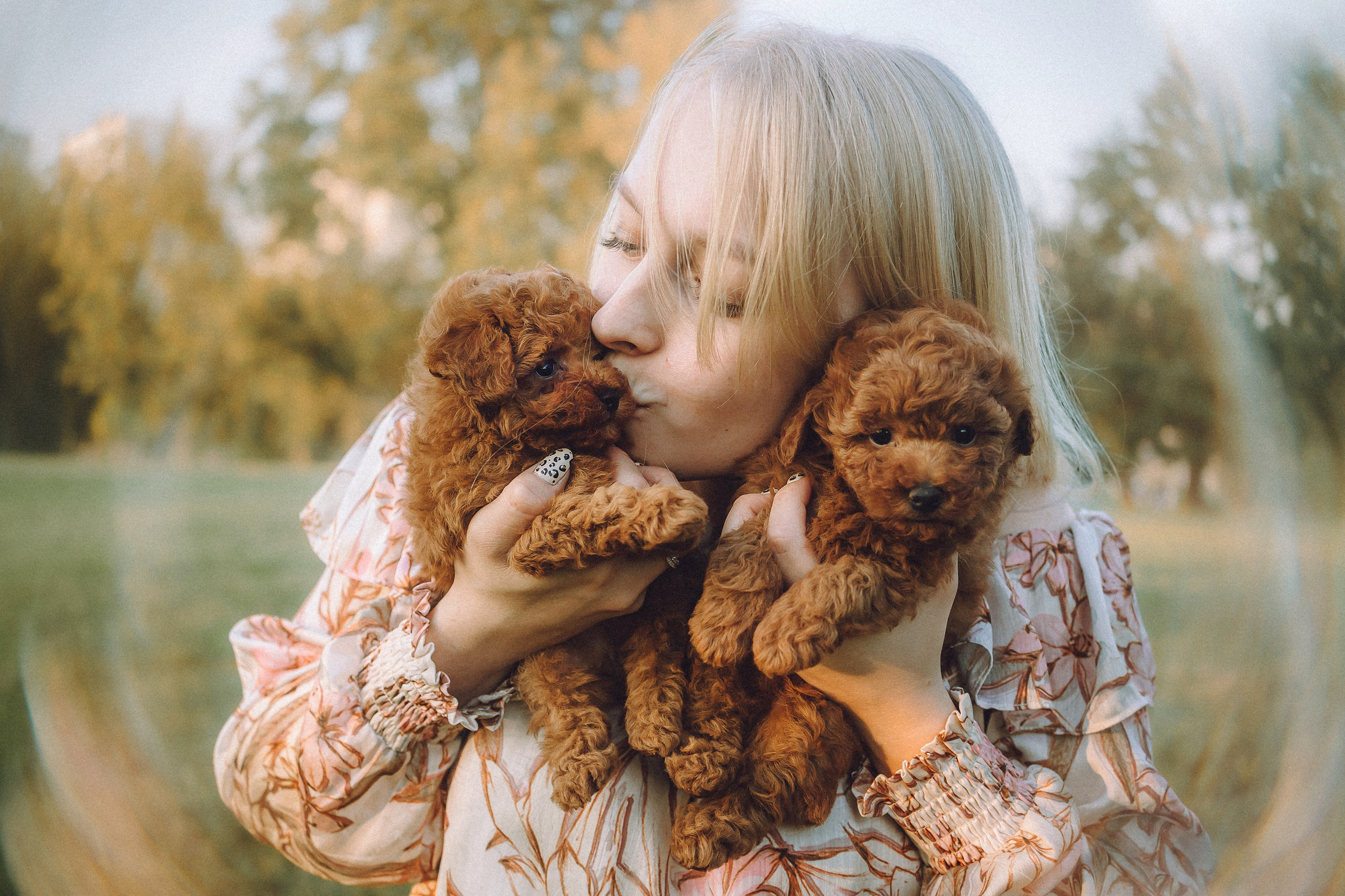 Гречка, Кари и щенки