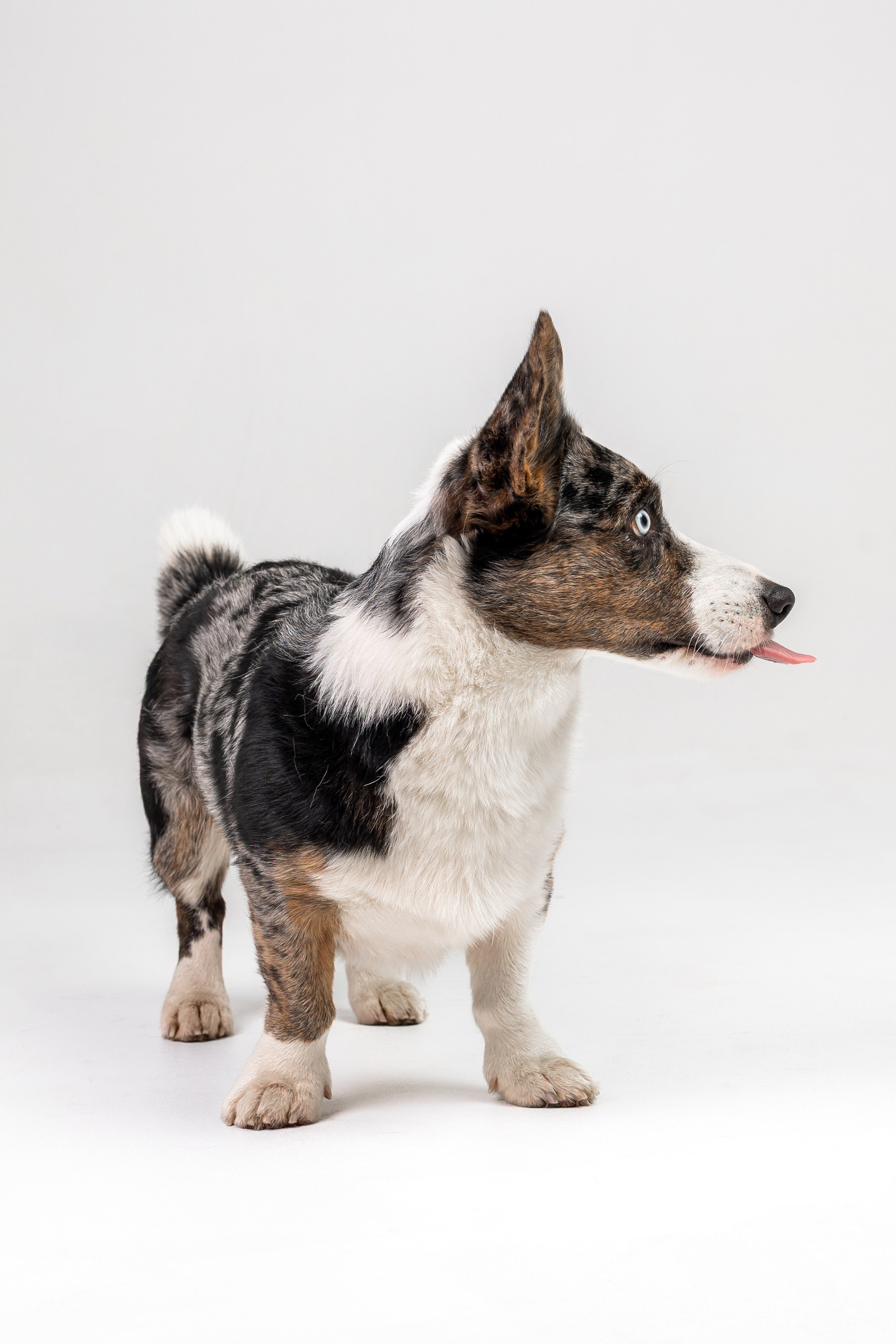 Анатолий и Рагнар