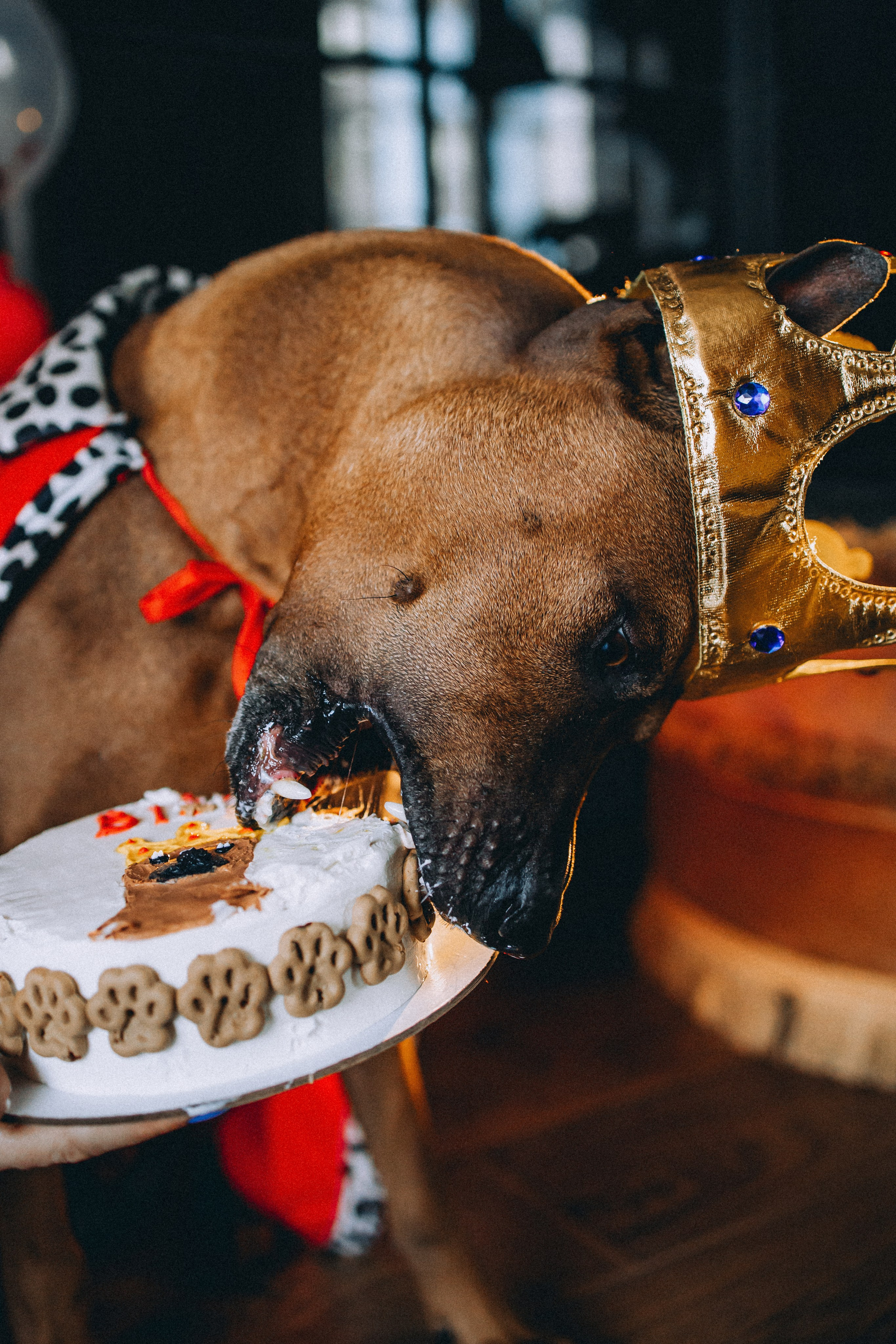 Оксана и Зевс