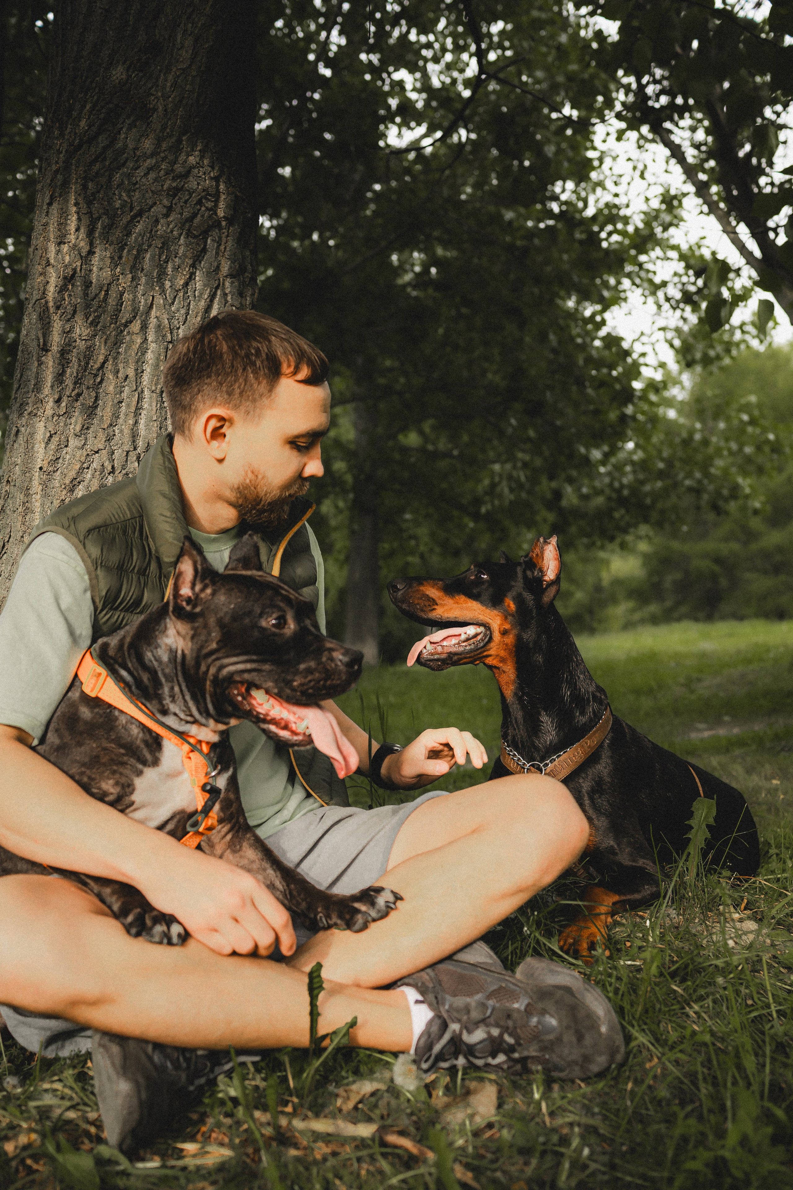 Паша, Хайди и Тея