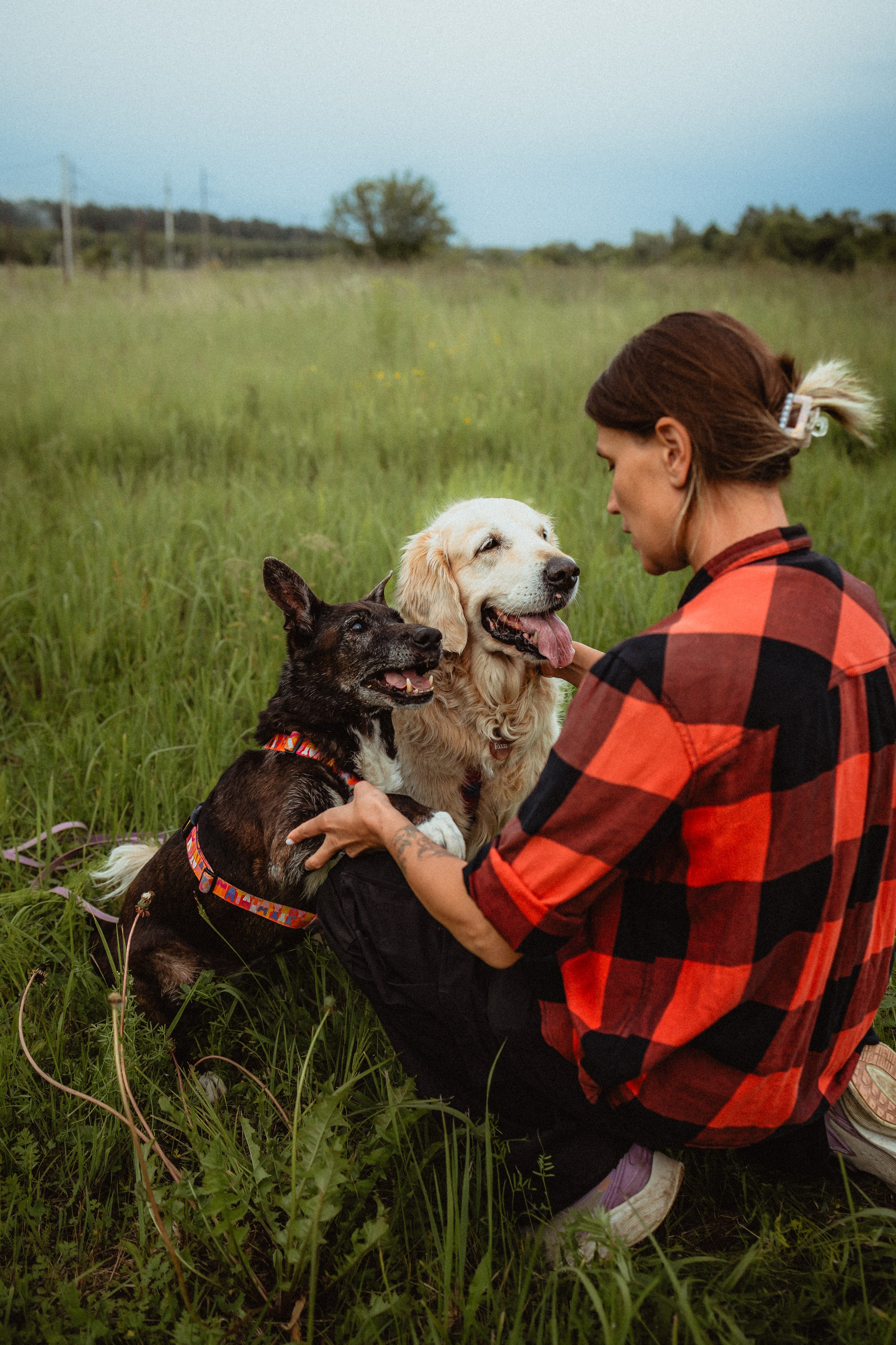 Выездной дог-тренинг от школы «Шерсть имею»