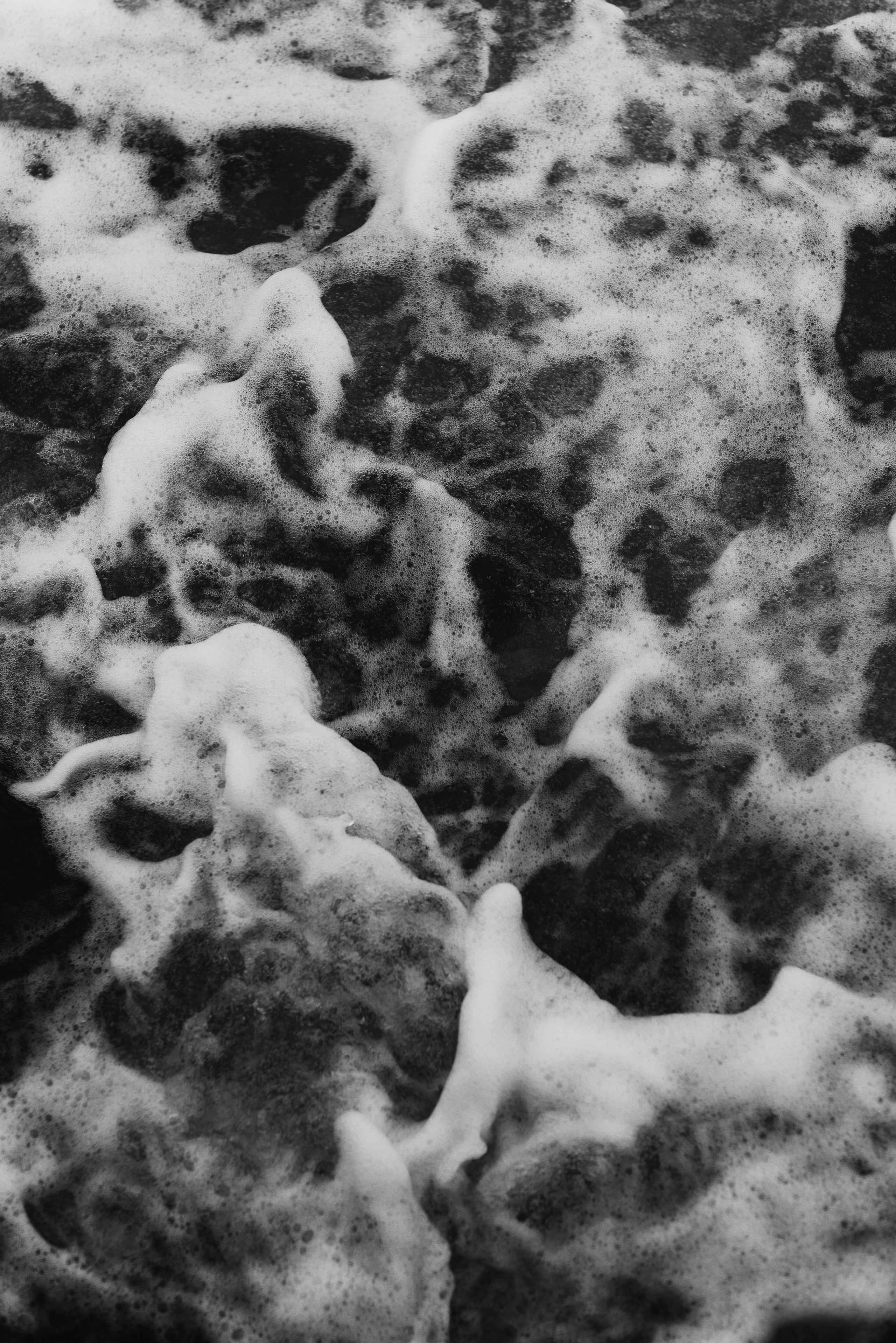 Море + ветер + чайки = Балтика. Фотограф Зеленоградск Красильникова Елена