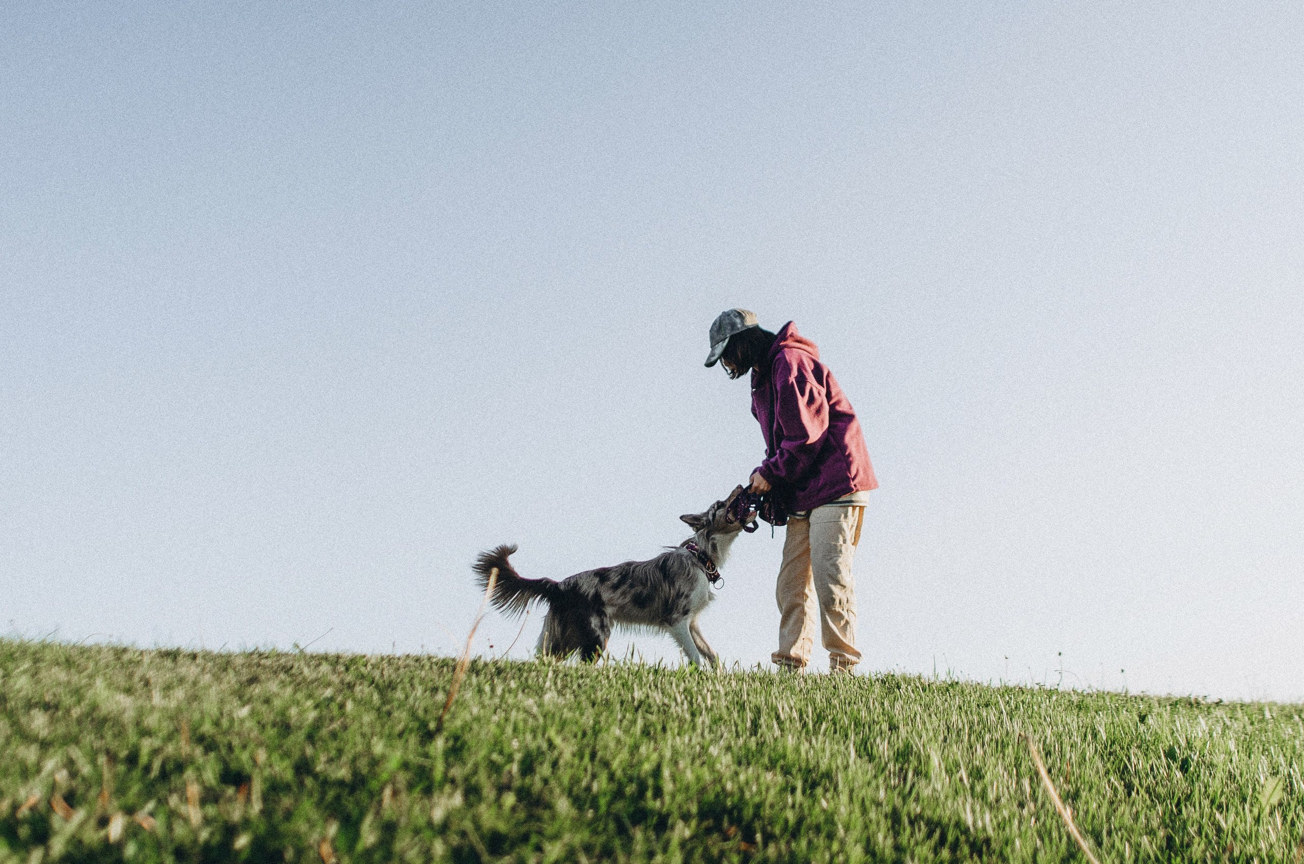 Аня и Дэймон. Фотограф-анималист Богданова Полина