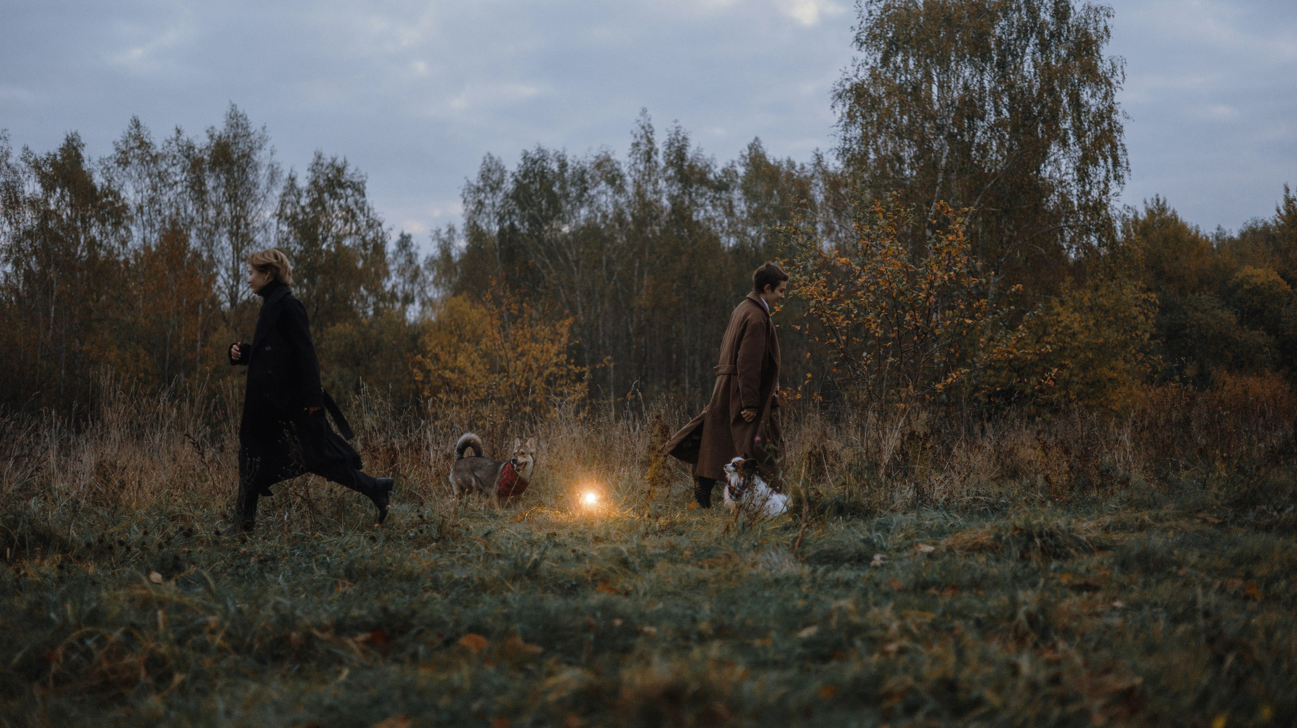Маша, Катя, Астрид и Мася. Фотограф-анималист Богданова Полина