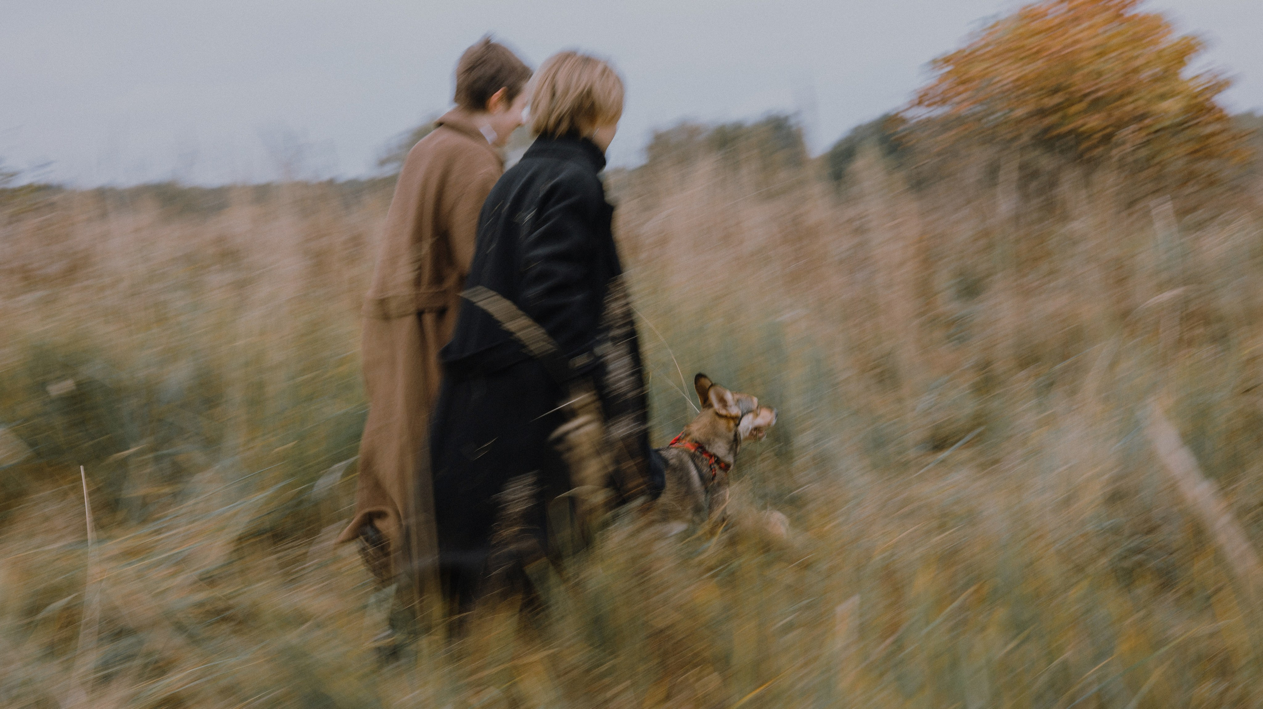 Маша, Катя, Астрид и Мася. Фотограф-анималист Богданова Полина