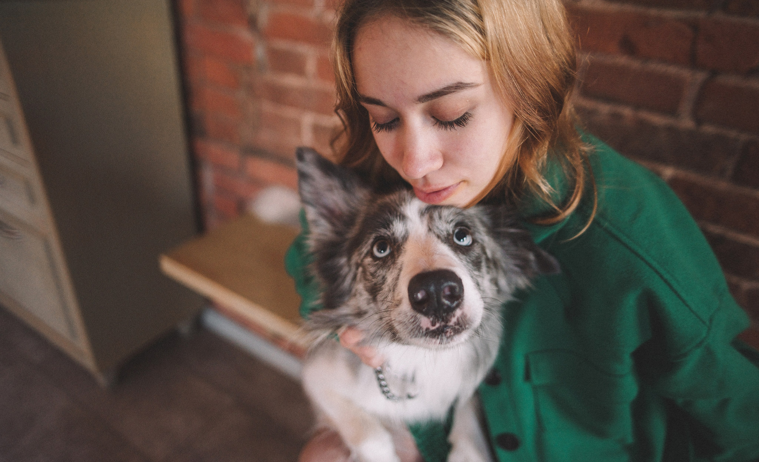 Диана и Робин. Фотограф-анималист Богданова Полина