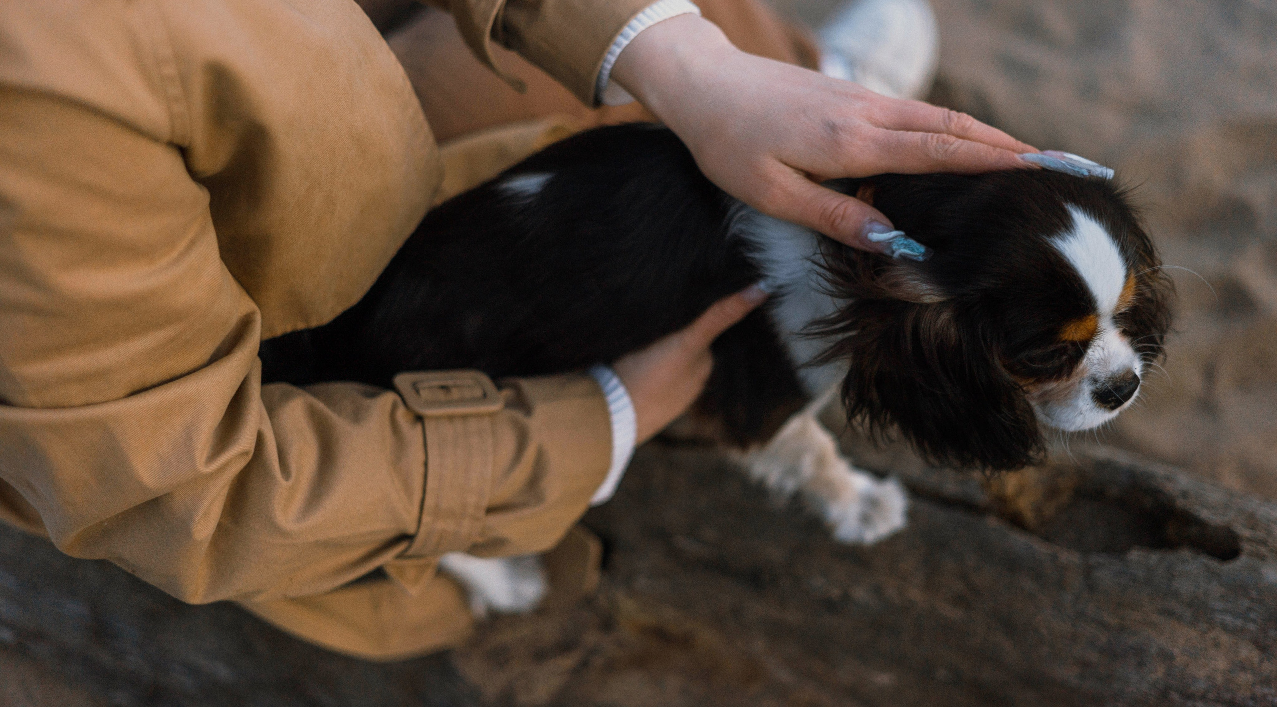 Ангелина и Йен. Фотограф-анималист Богданова Полина