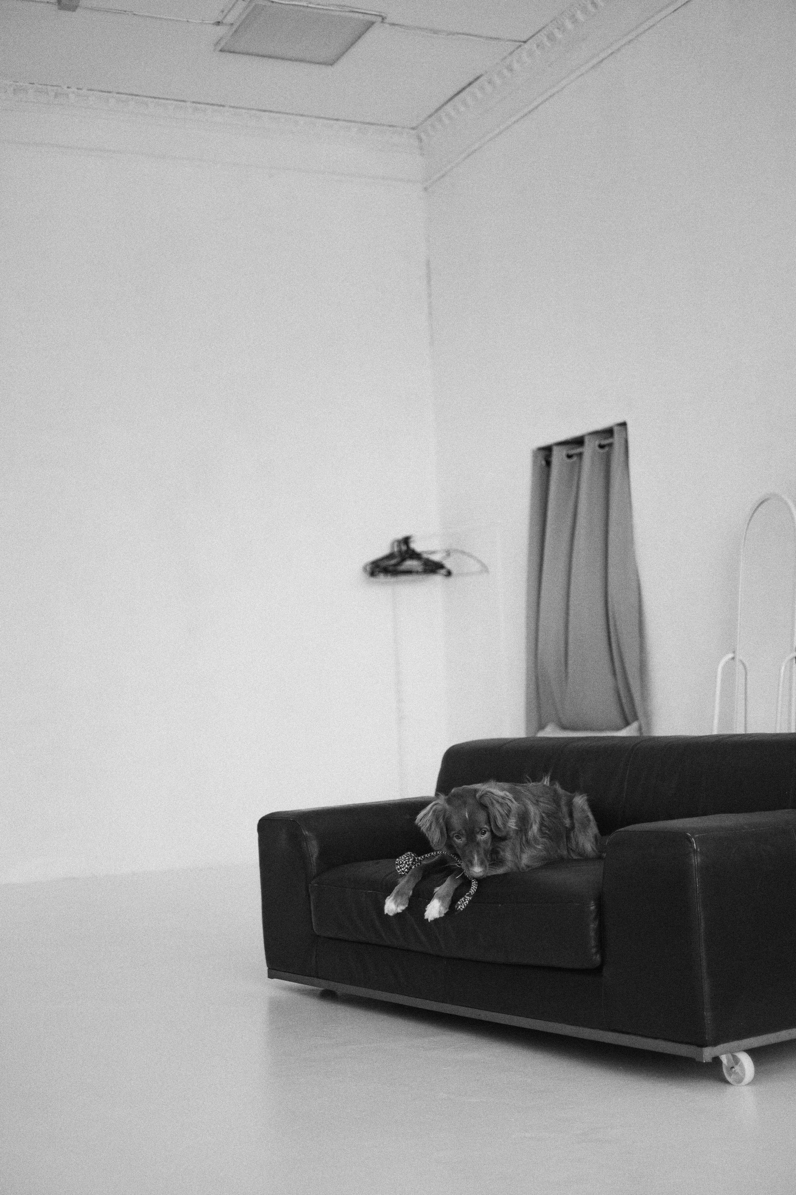 Аня и Лея. Фотограф-анималист Богданова Полина