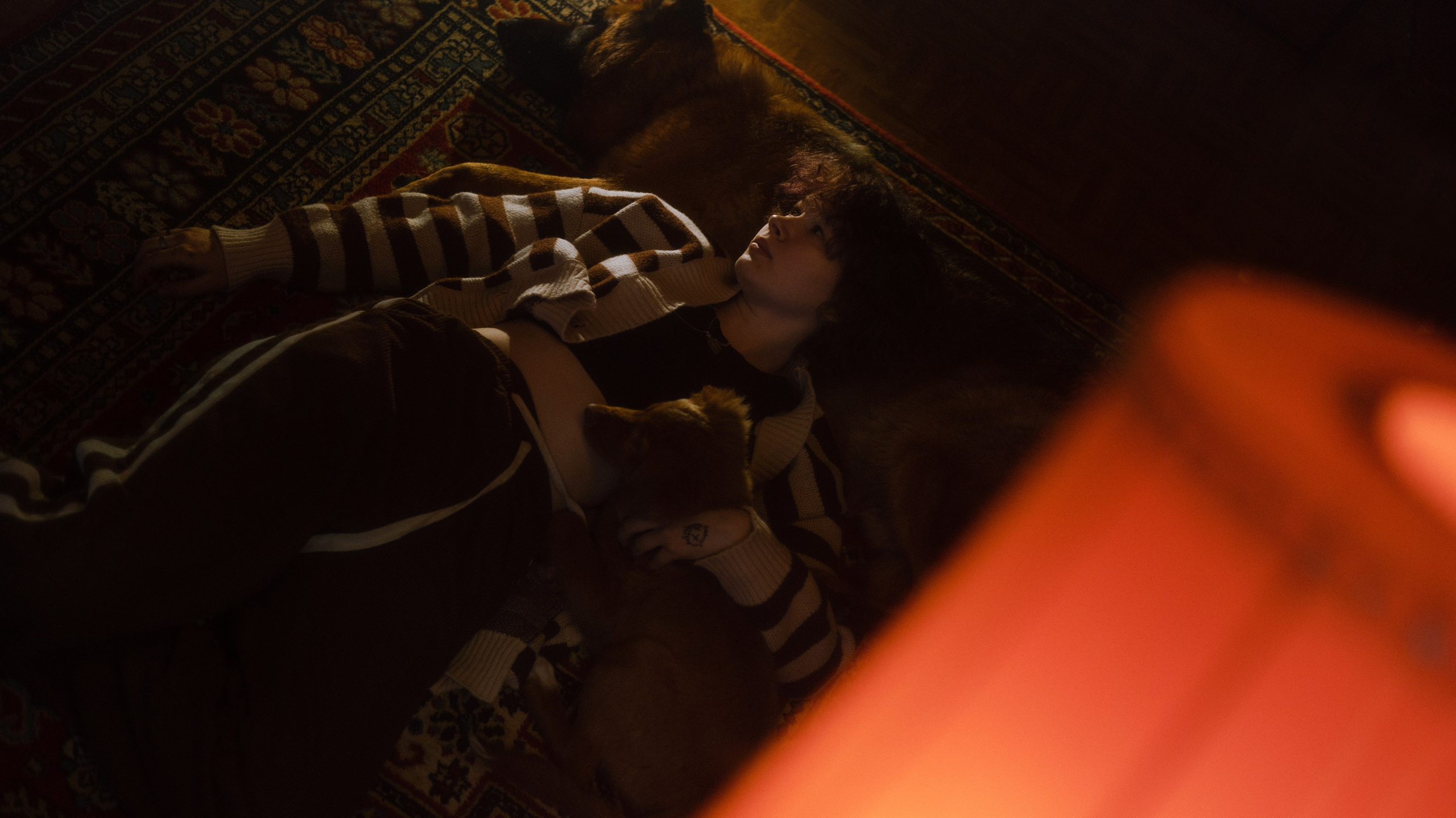 Лера, Реджи и Ральф. Фотограф-анималист Богданова Полина