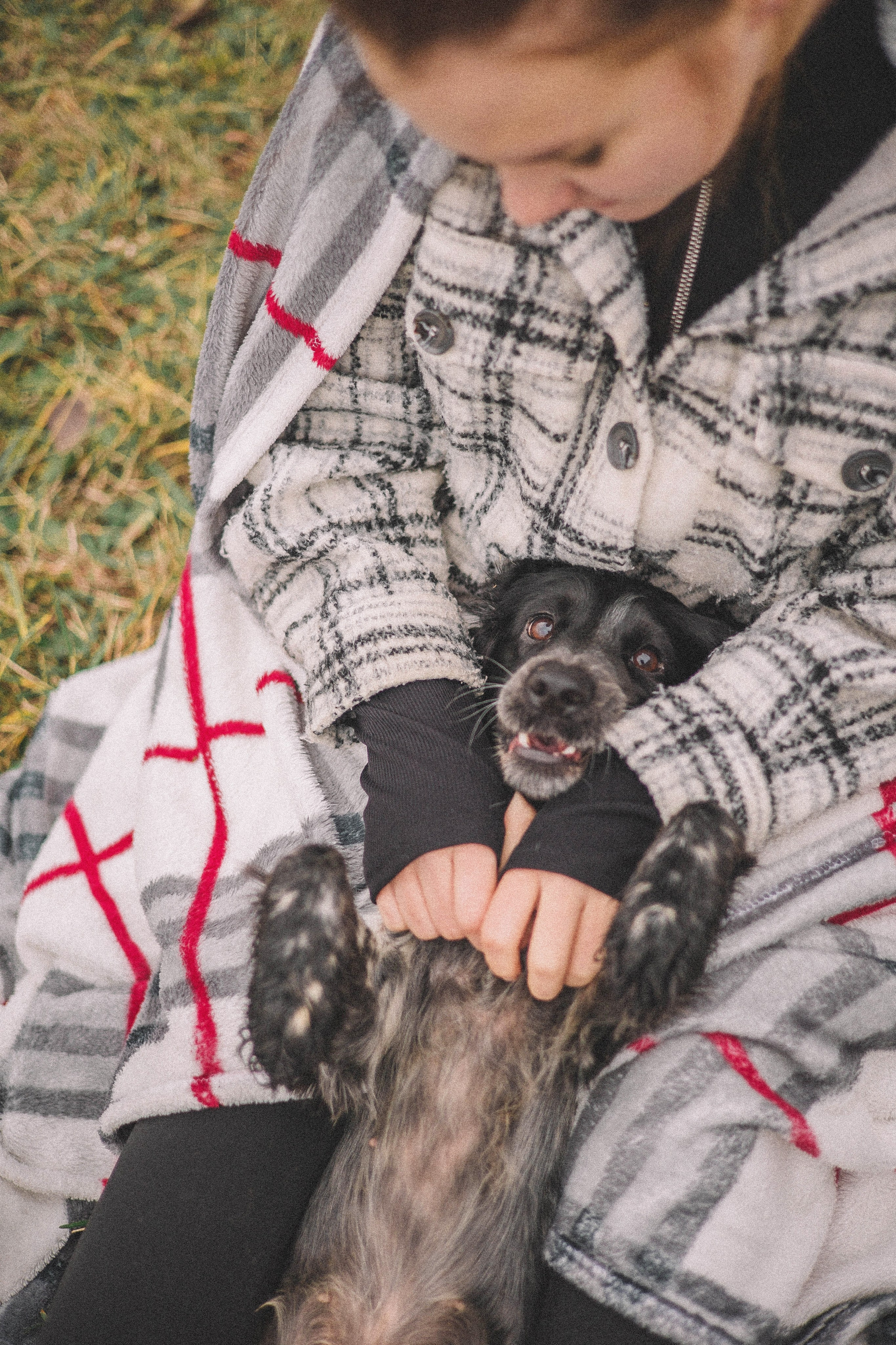 Вика и Ава. Фотограф-анималист Богданова Полина