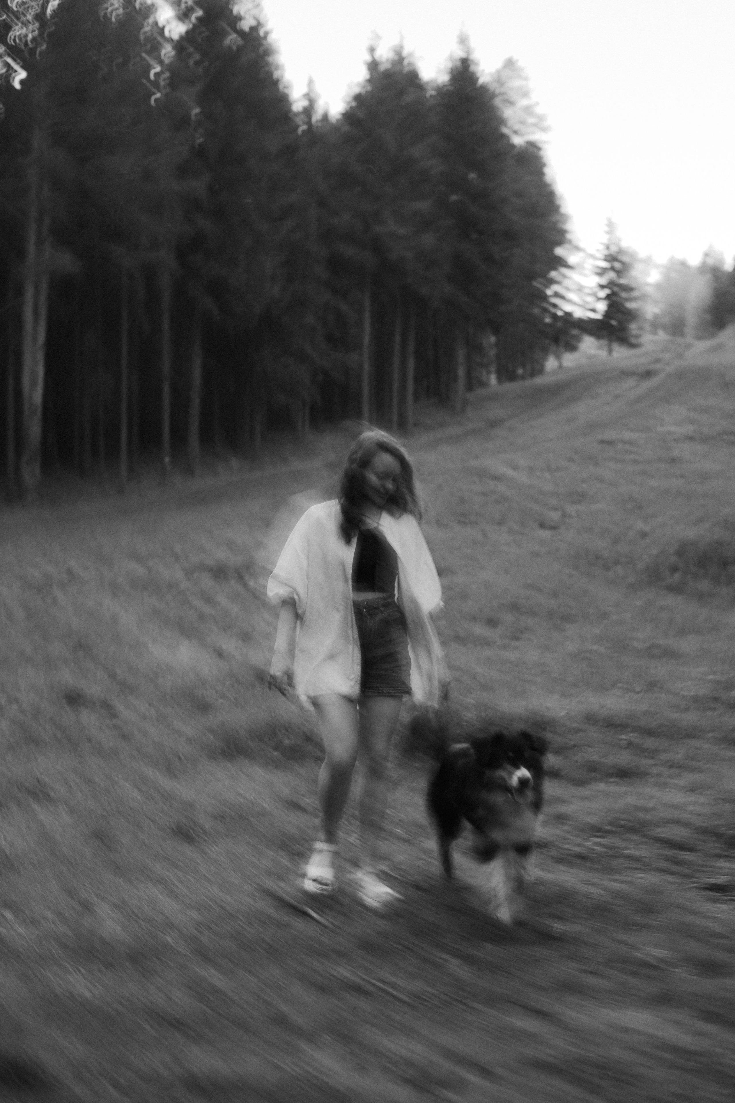 Настя, Шуня, Милка и Тигуан. Фотограф-анималист Богданова Полина