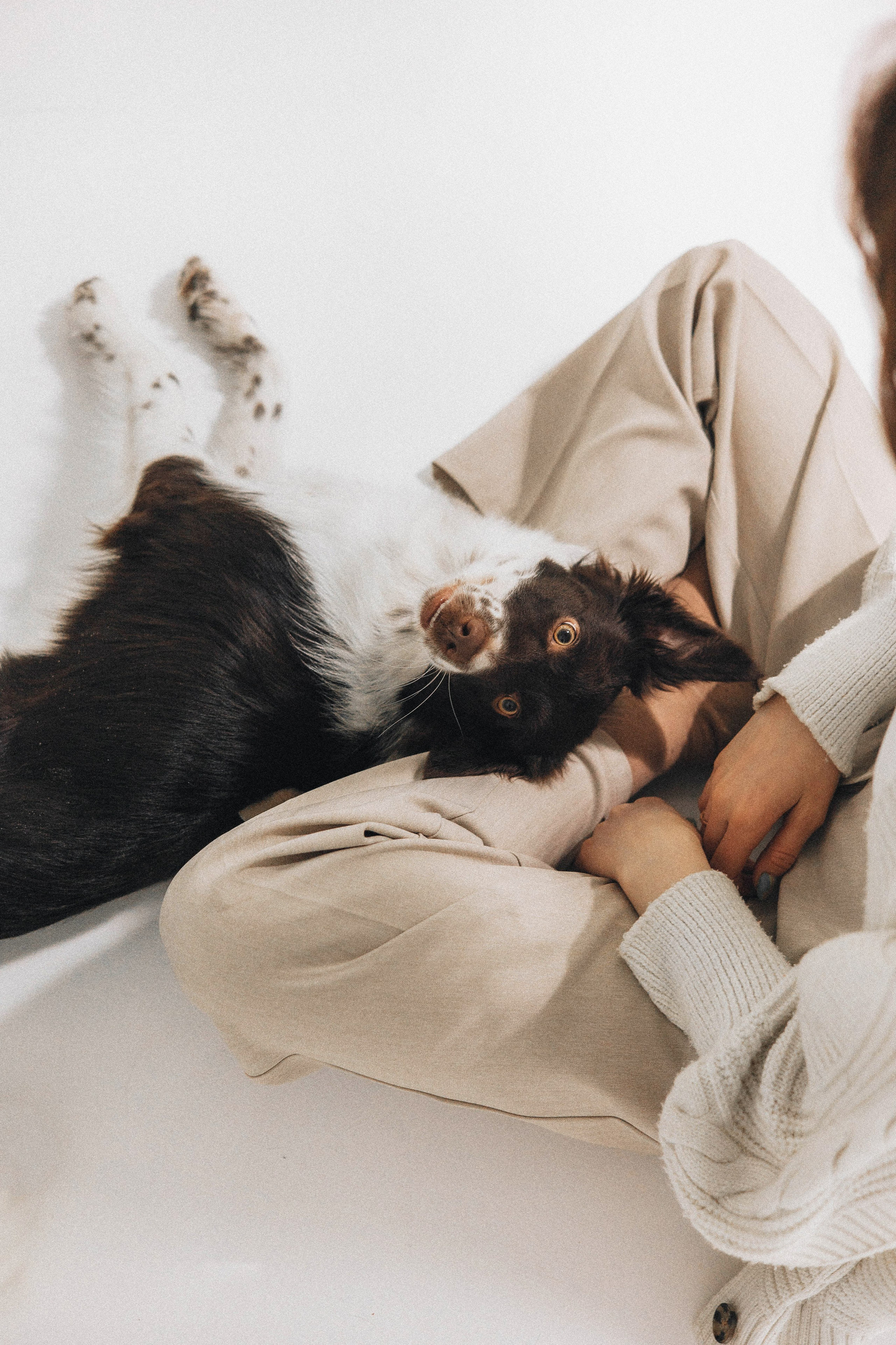 Алена и Гвендолин. Фотограф-анималист Богданова Полина