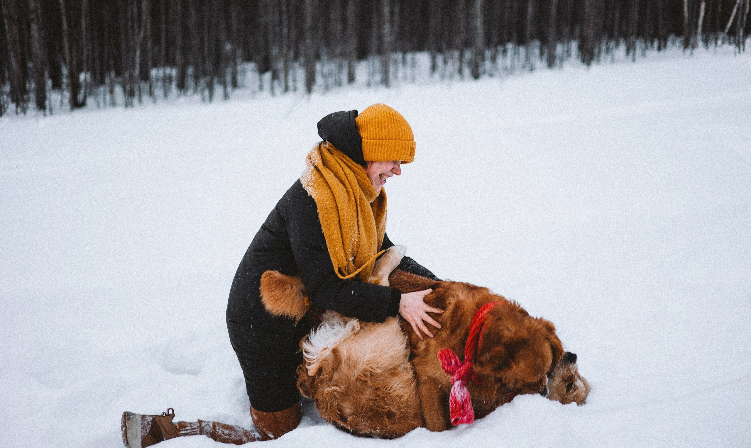 Саша, Юля, Грэй и Джой. Фотограф-анималист Богданова Полина